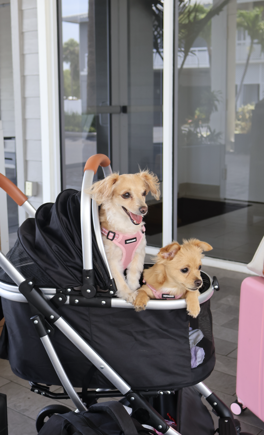 Screenshot 2026-04-22 at 3.28.47 PM.png