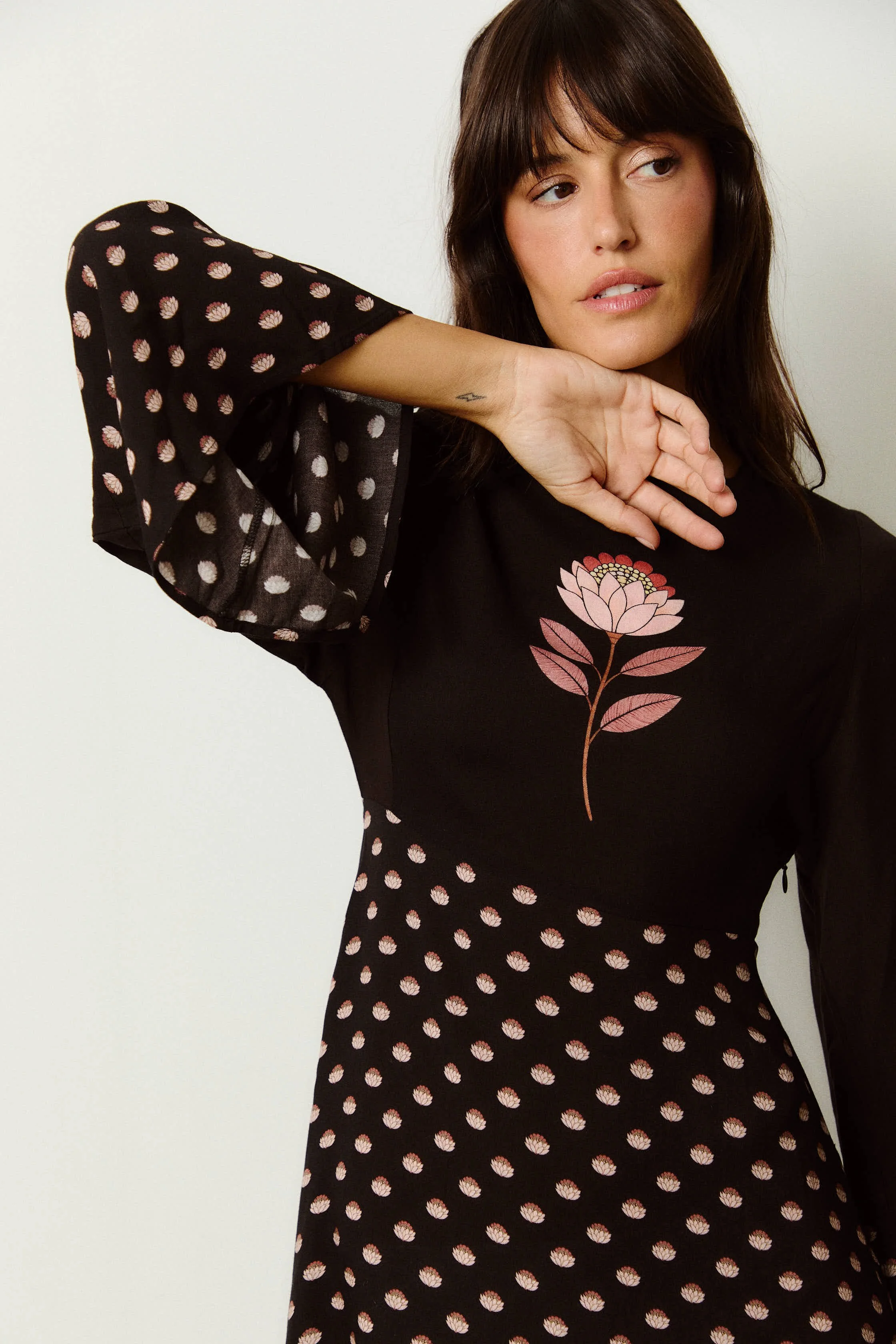 Web_CASTAÑO DE INDIAS -BEGO FW262697.jpg