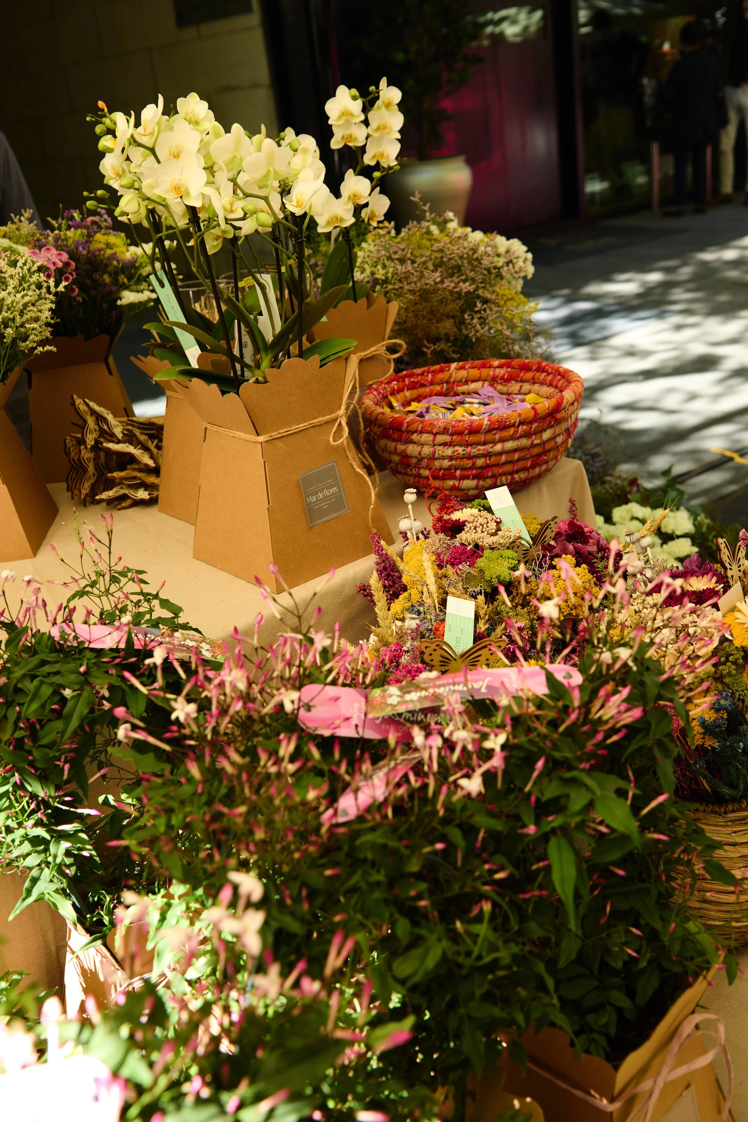 MAR DE FLORES 4.jpg
