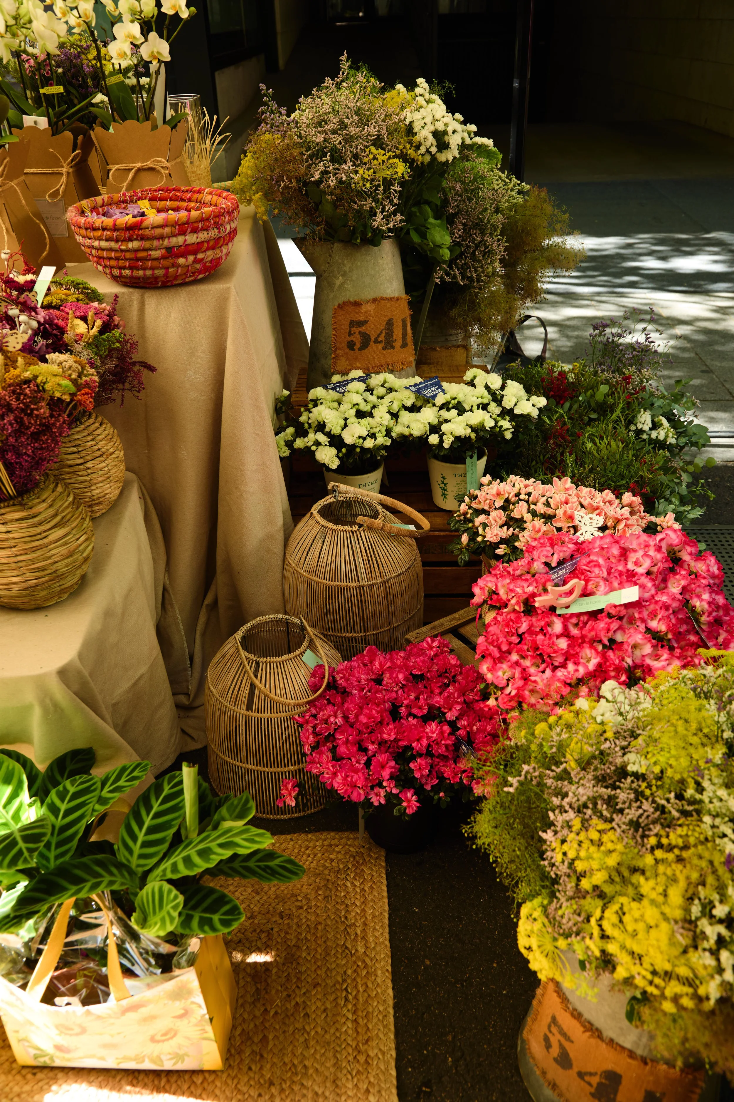 MAR DE FLORES 2.jpg