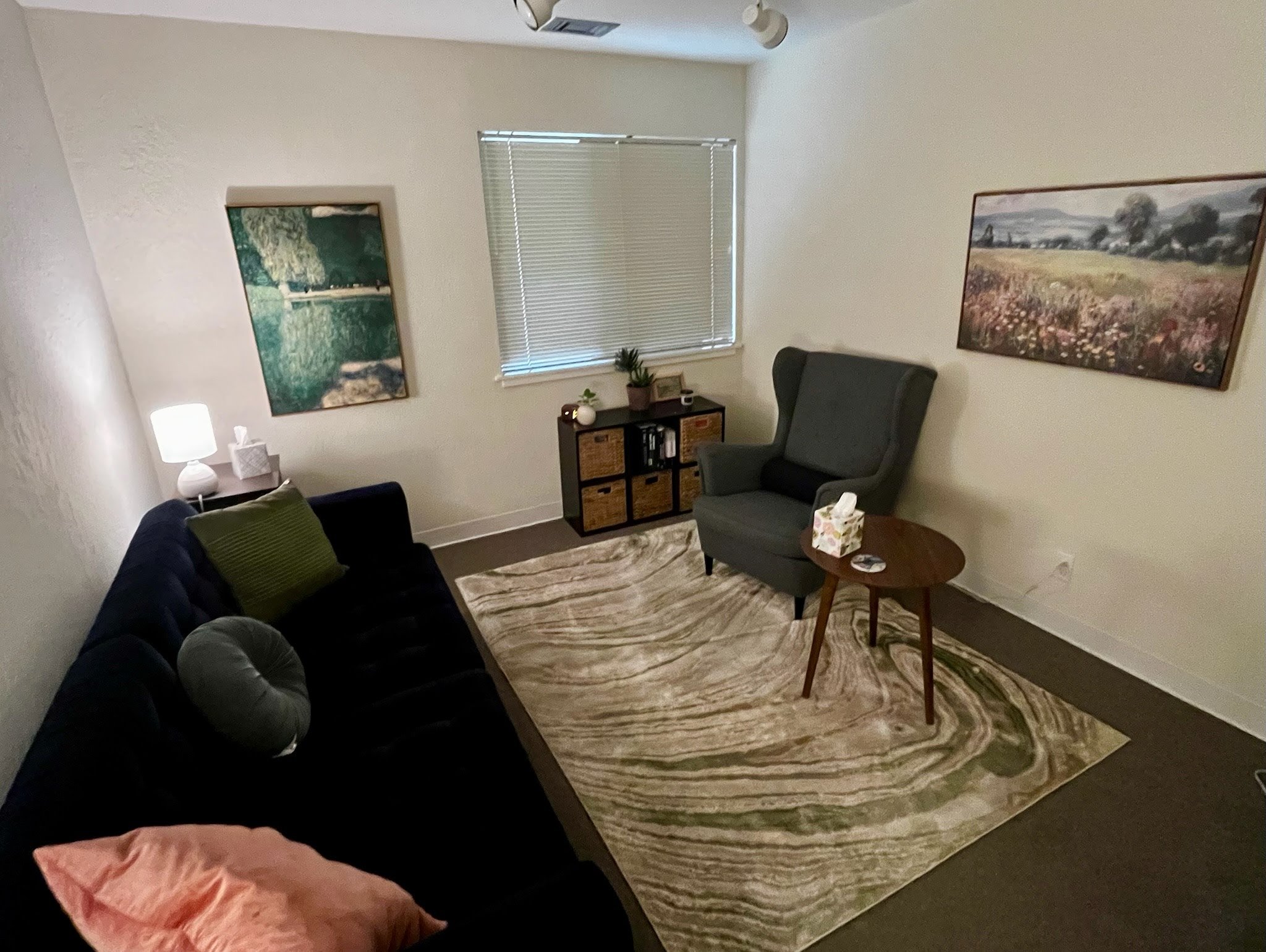Living room with beige walls, a black sofa with green and grey pillows, a grey armchair, a small round wooden table with a tissue box, a dark wooden cabinet with baskets and plants, a window with blinds, wall art depicting nature scenes, a light rug with swirling patterns, and a ceiling fan.