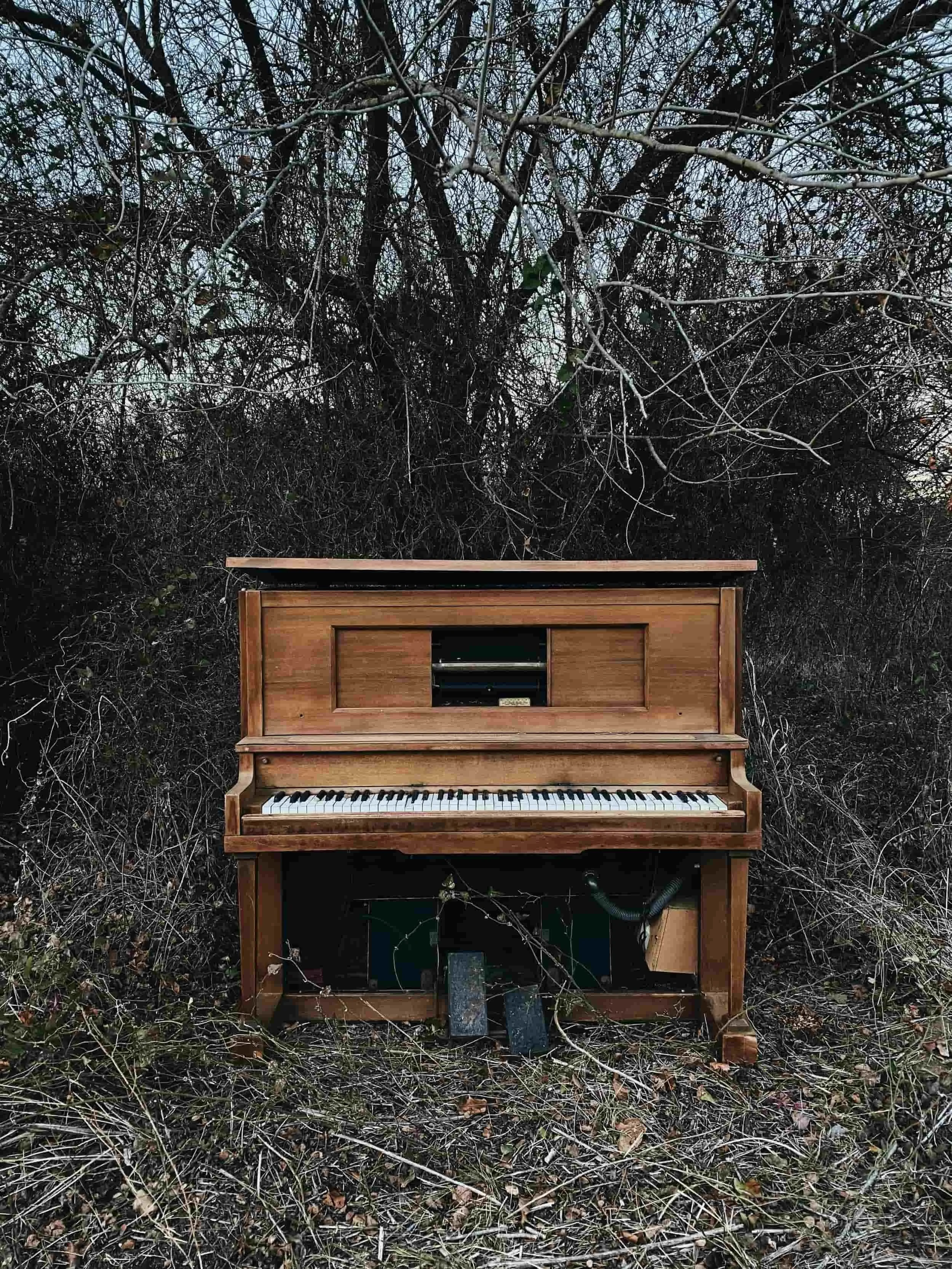 An old, broken piano sits abandoned outdoors—an image evoking the quiet ache before anxiety therapy brings renewal.