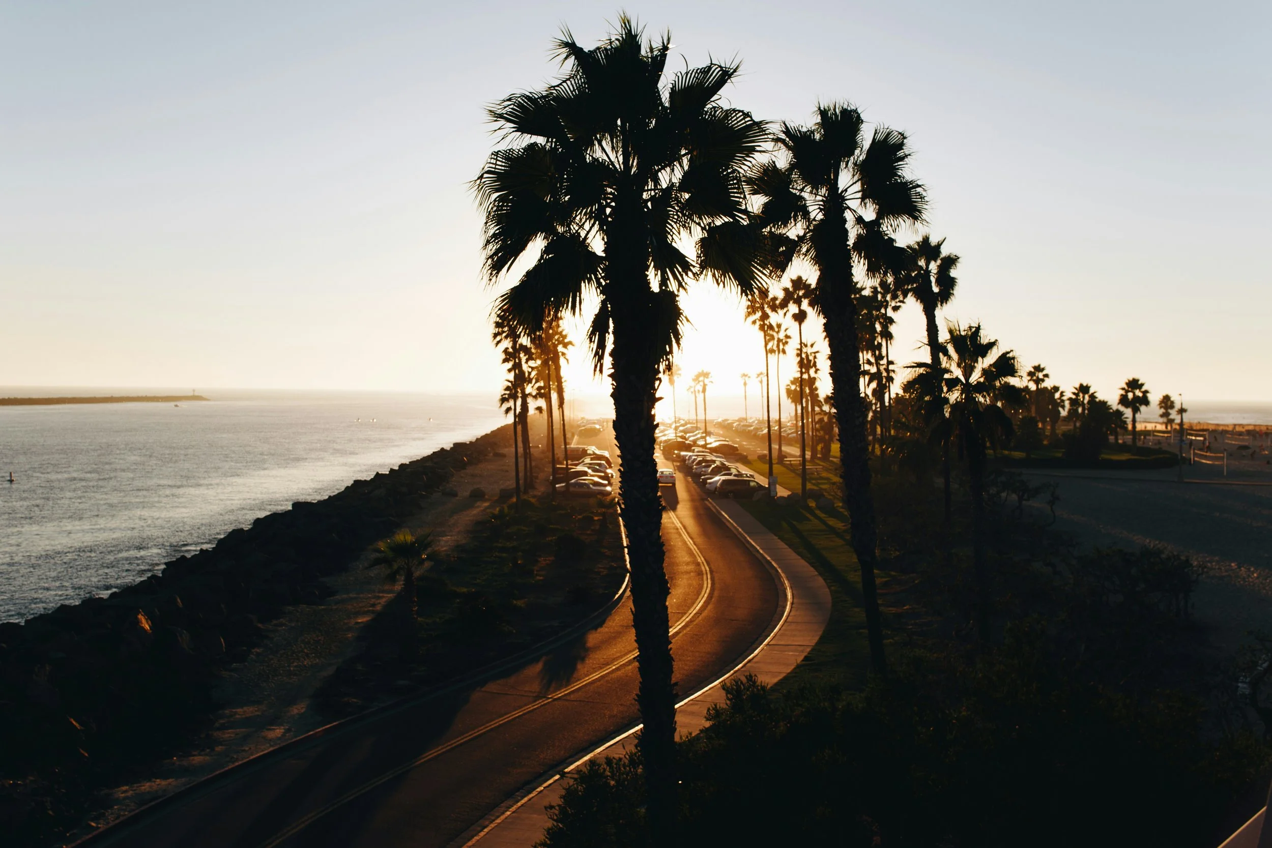 Sunset view of a curving beach road lined with palm trees—like finding calm with Online Therapy in the Bay Area.
