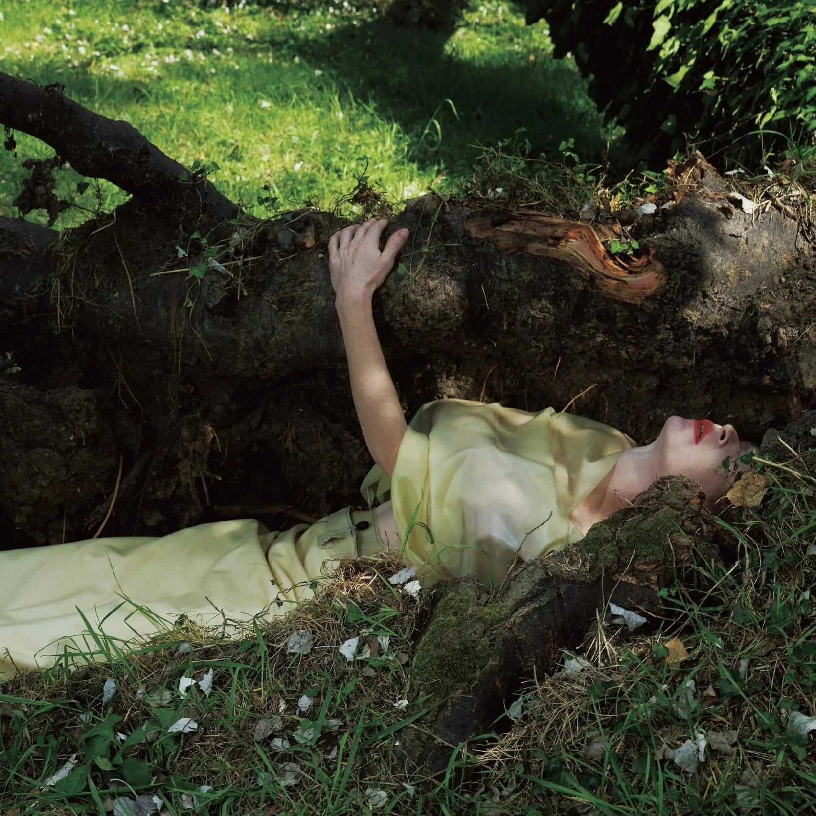 Murmuring Of The Skin