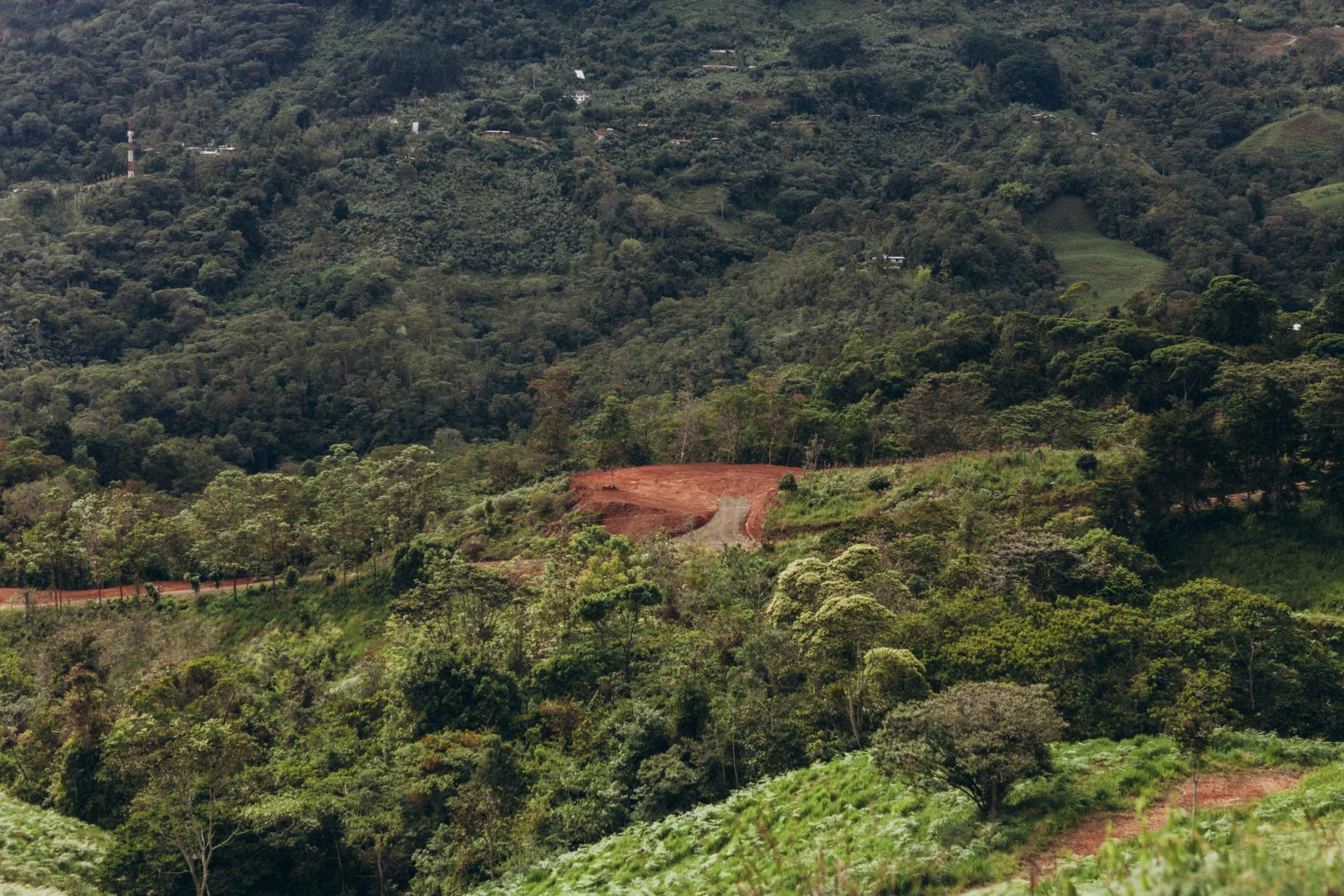 Lot 21