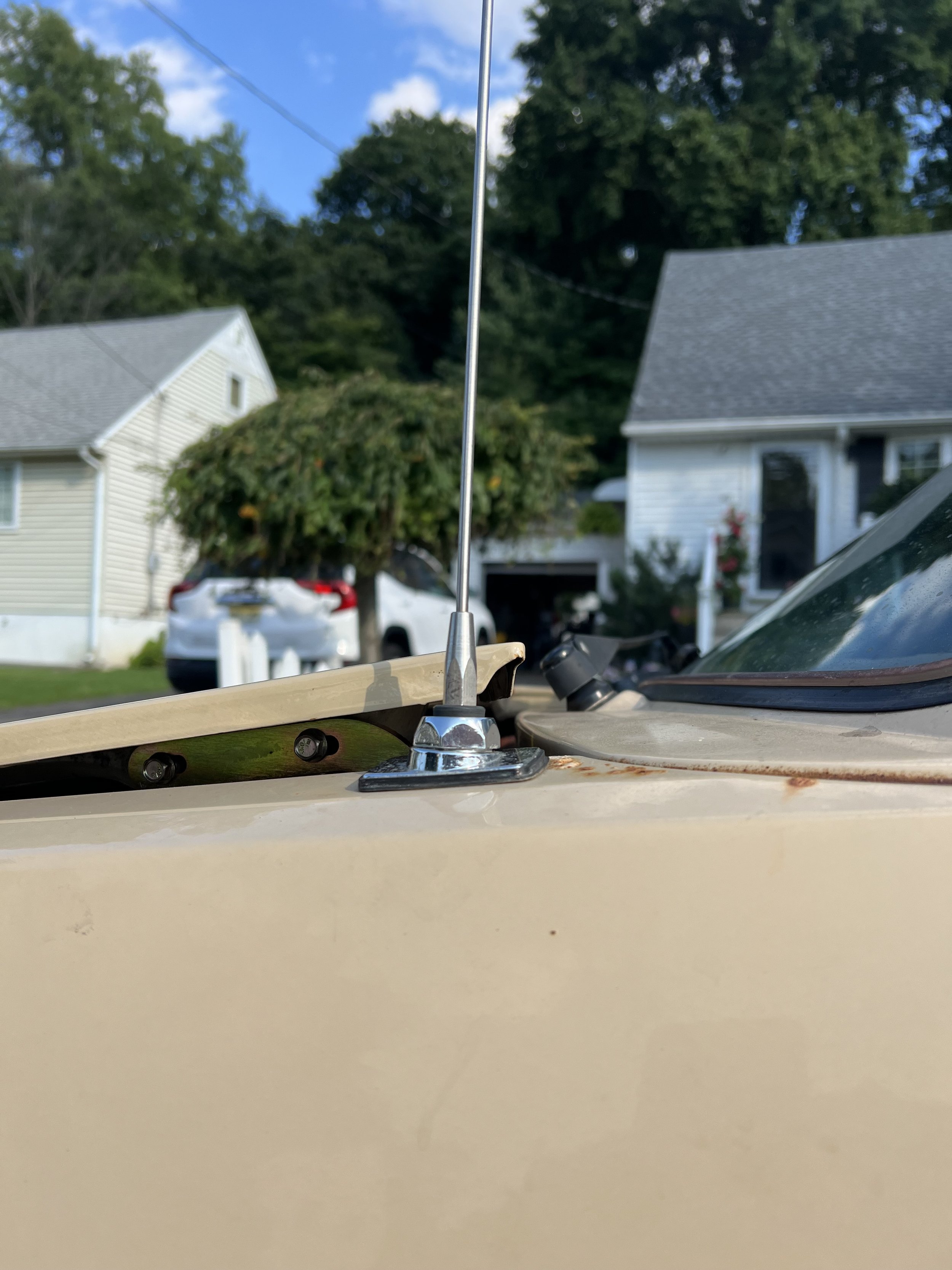 IMG_9865.jpeg
