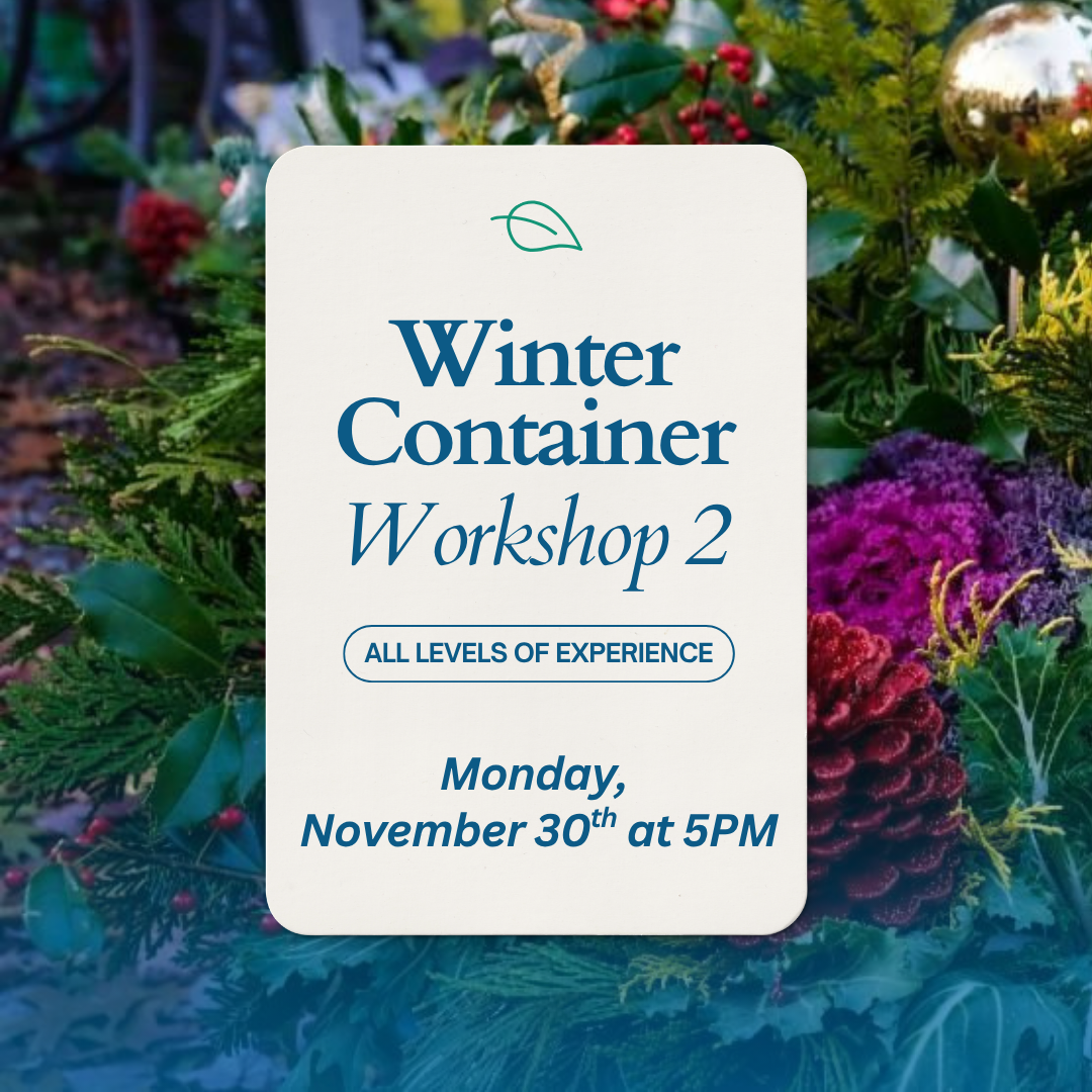 Winter Container Workshop #2 - 11/30 at 5PM