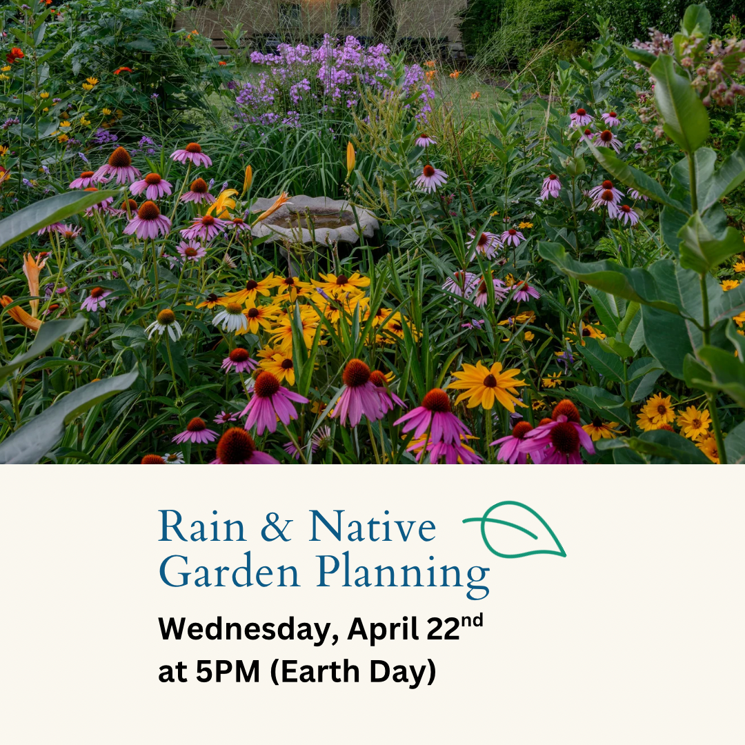 Workshop Pictures For Website.png