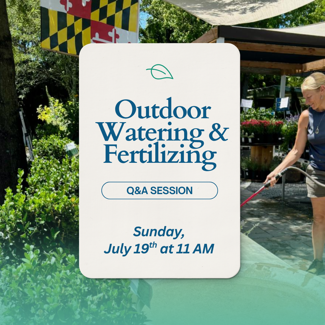 Outdoor Watering & Fertilizing .png