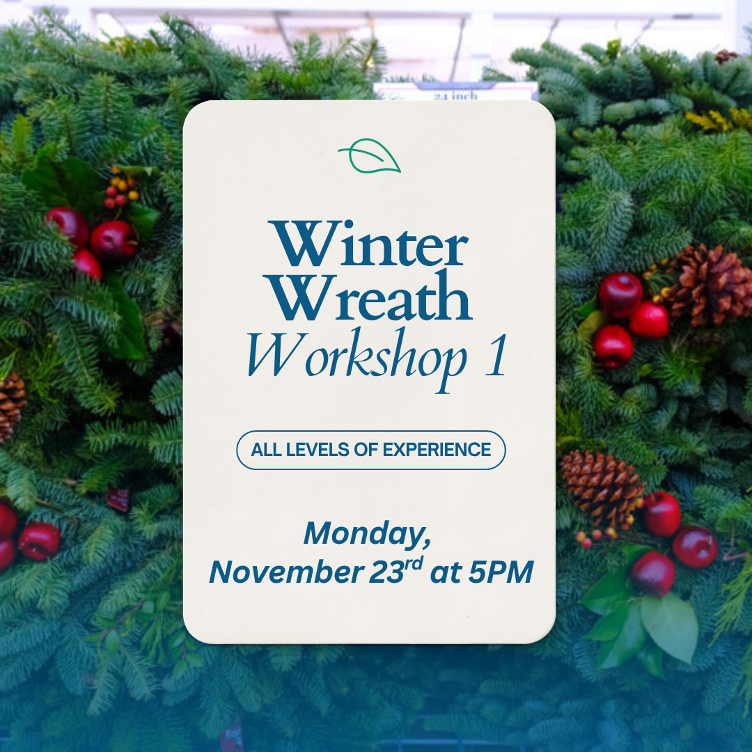 Winter Wreath Workshop #1 - 11/23 at 5PM