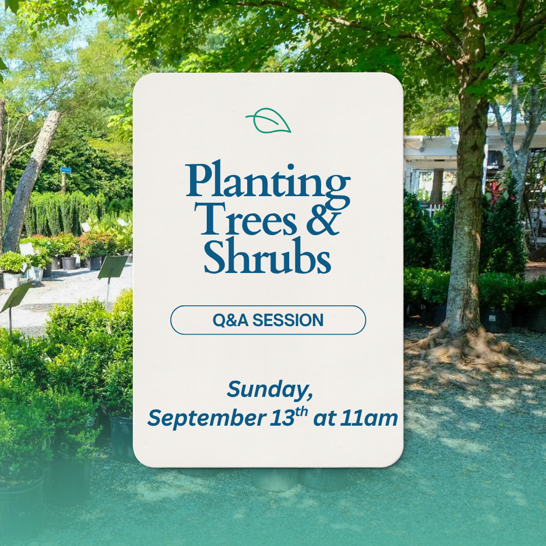 Planting Trees & Shrubs.png