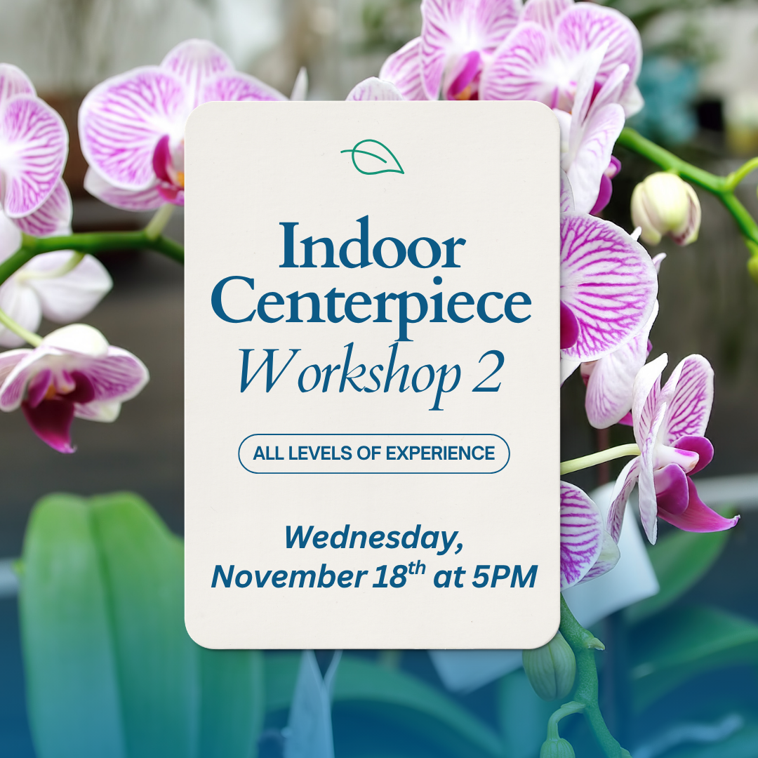 Indoor Centerpiece Workshop #2 - 11/18 at 5PM