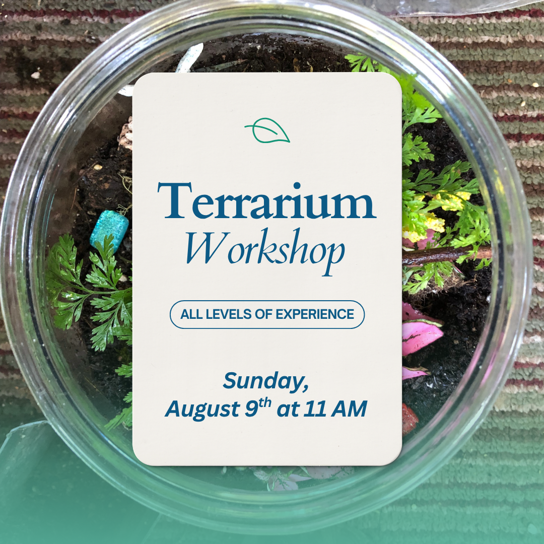 terrarium.png