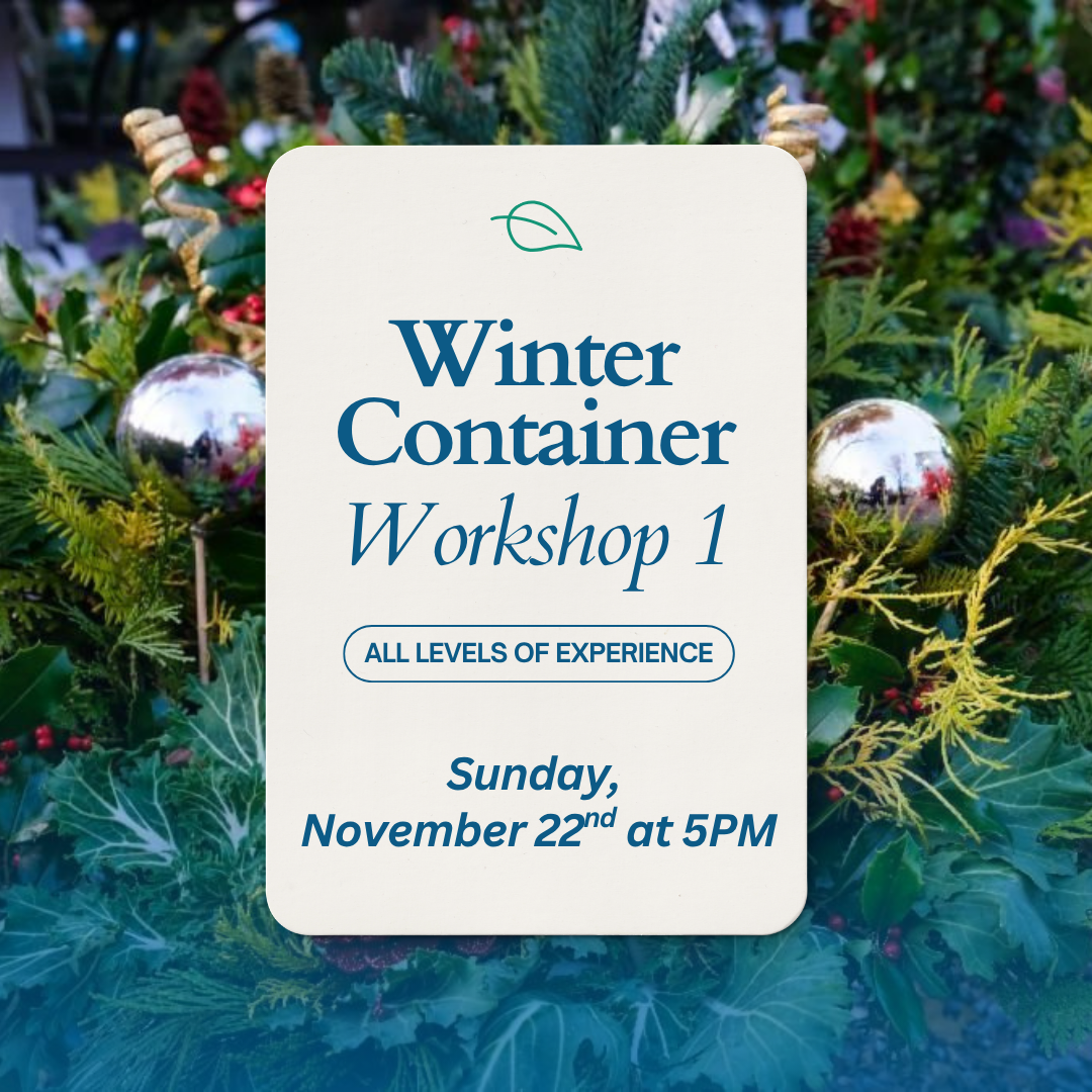 Winter Container1.png