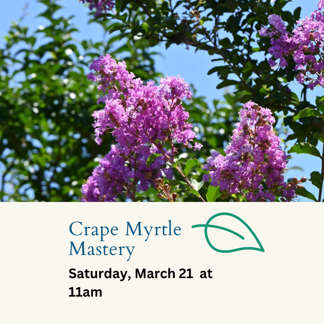 Crape Myrtle Mastery Workshop - 3/21 at 11AM