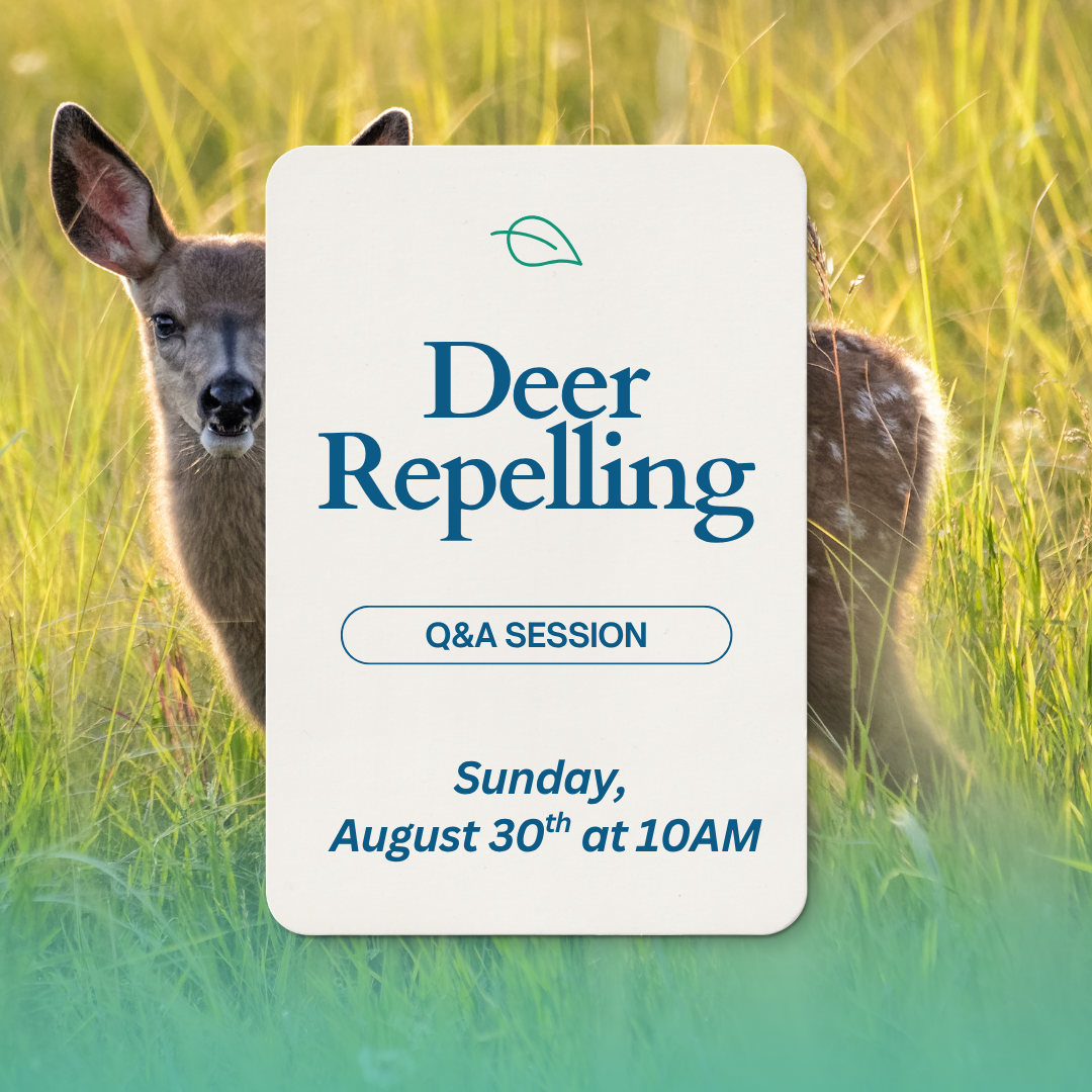 Deer Repelling.png