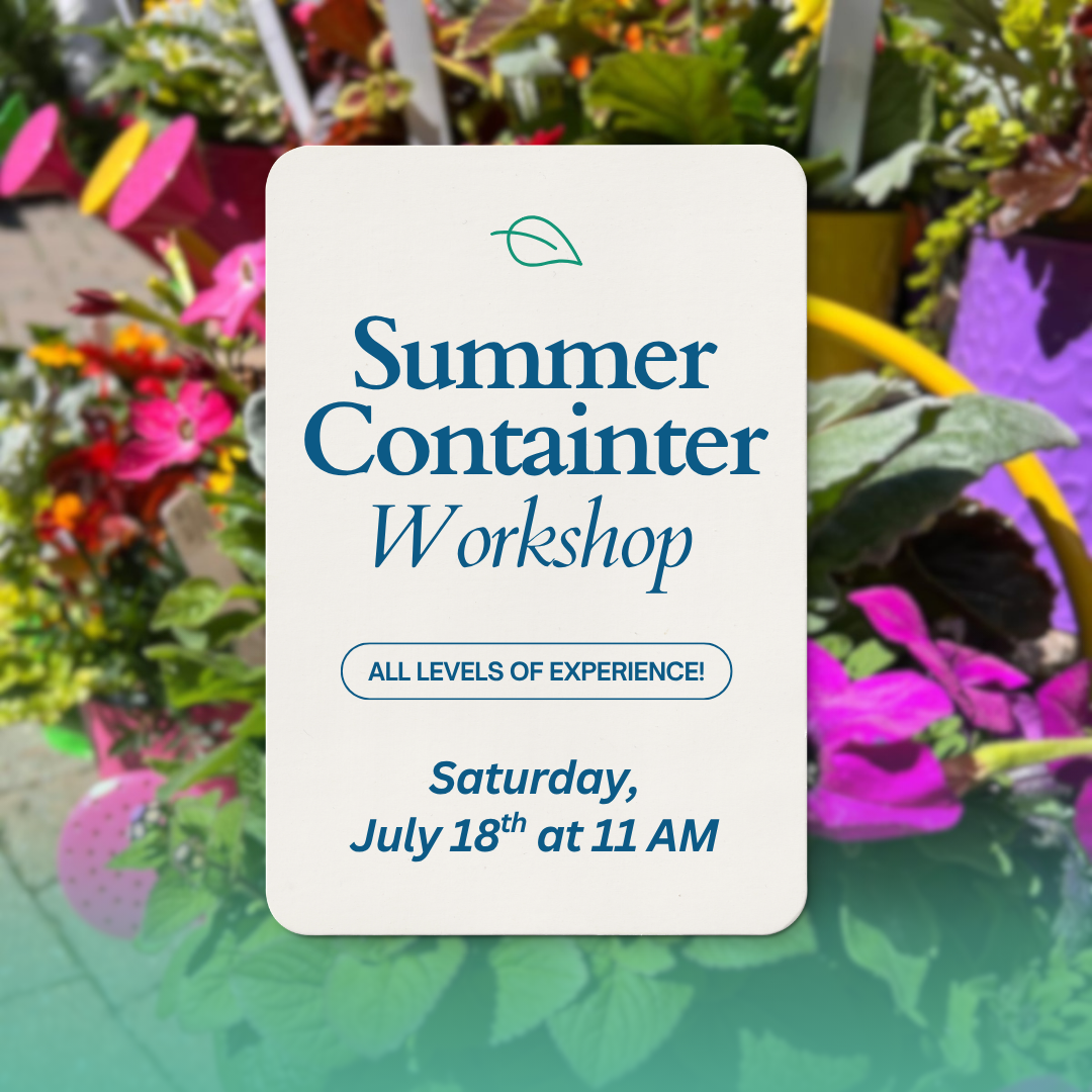 summer container garden 2026.png
