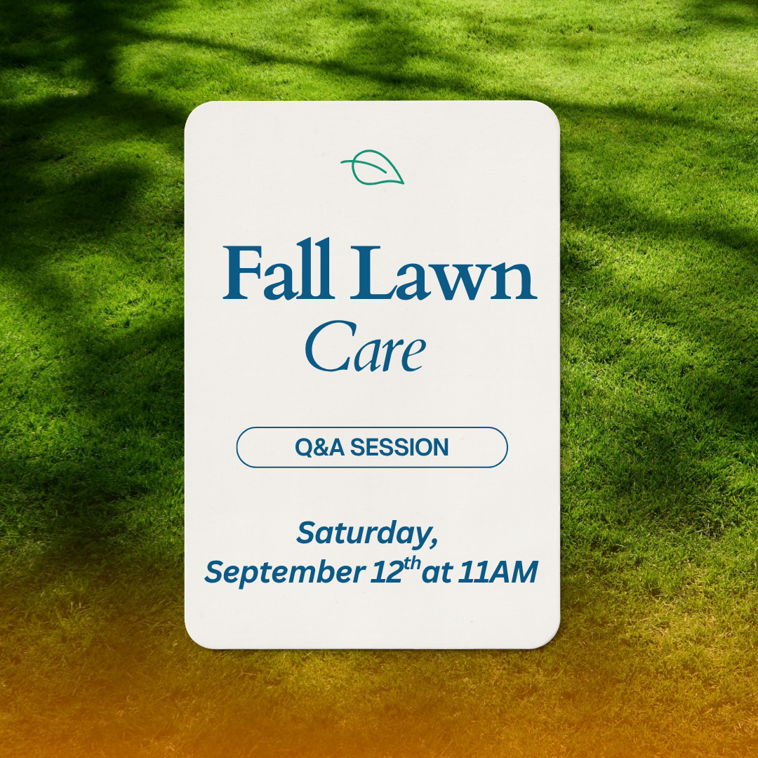 Fall Lawn Care Workshop (Q&A) - 9/12 at 11AM