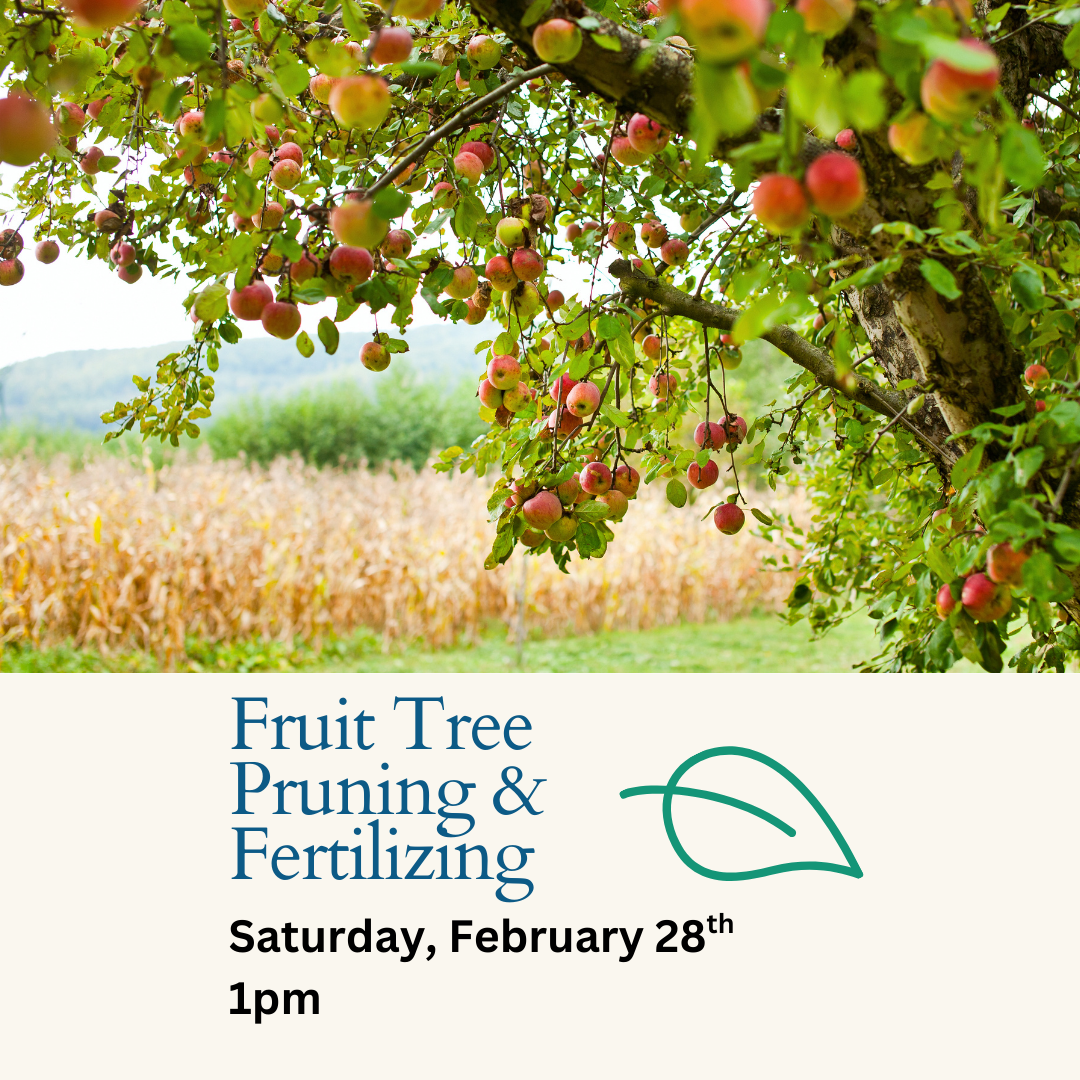 Fruit Tree Pruning & Fertilizing Workshop - 2/28 at 1PM