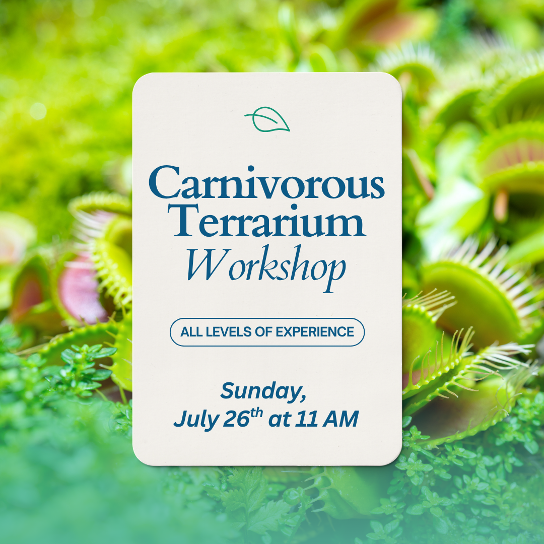 Carnivorous Plant Terrarium Workshop - 7/26 at 11AM