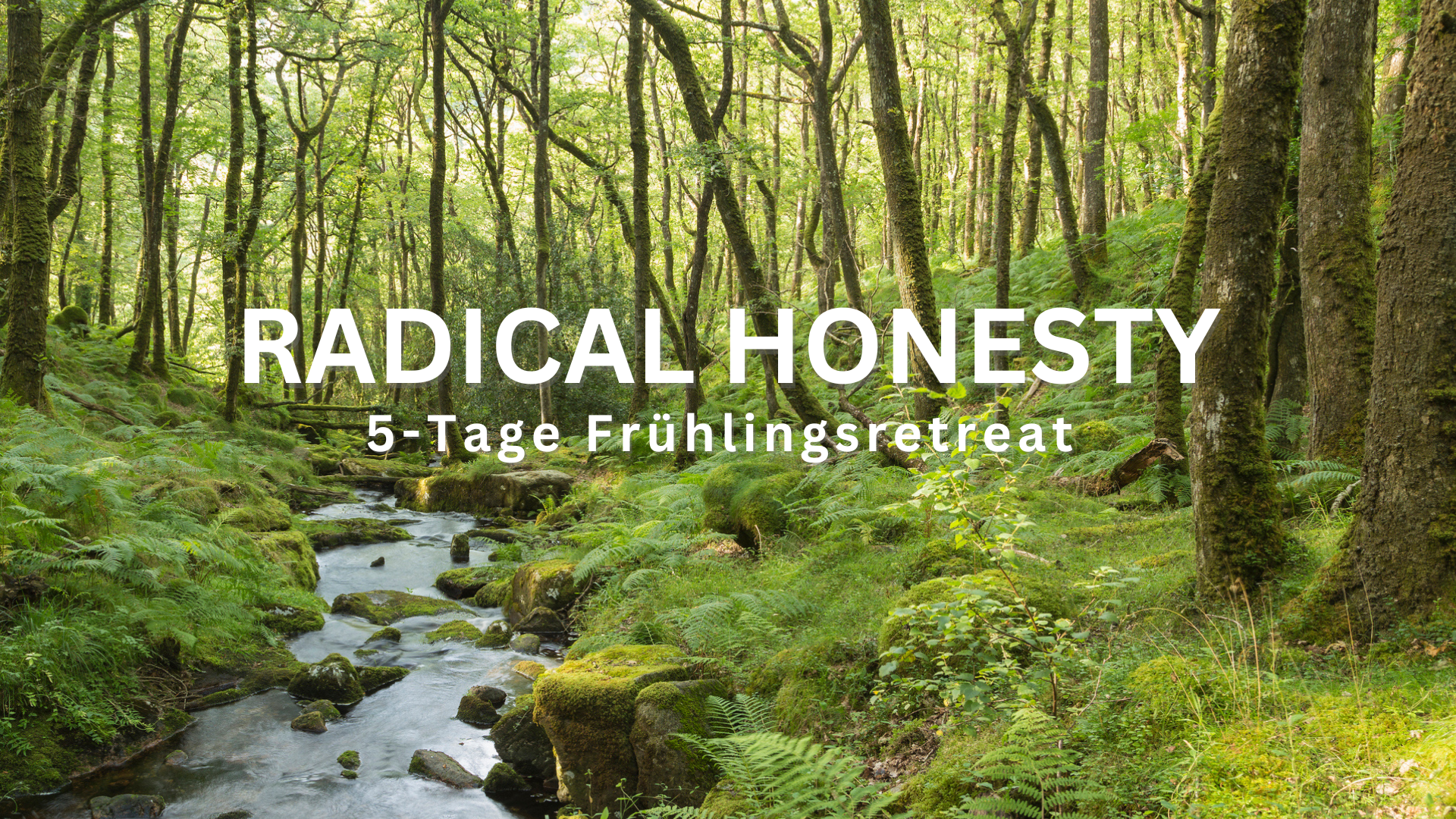 Radical Honesty 5 Tage Frühlingsretreat im Bergischen Land bei Köln