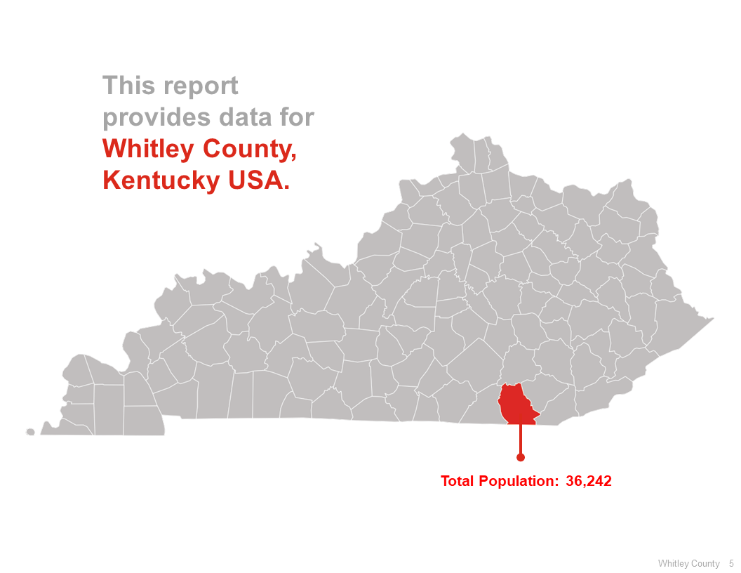 Designing a visual report in PowerPoint: a client case study — Echo Rivera