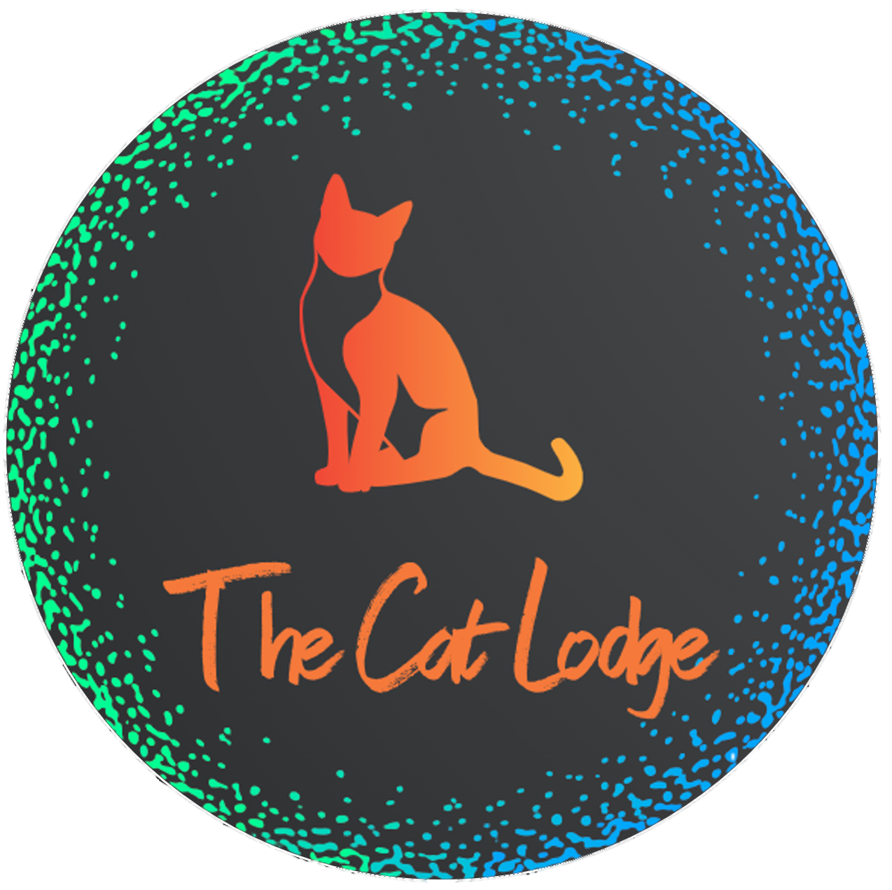The Cat Lodge - Private Cat Boarding in West Hartford, CT