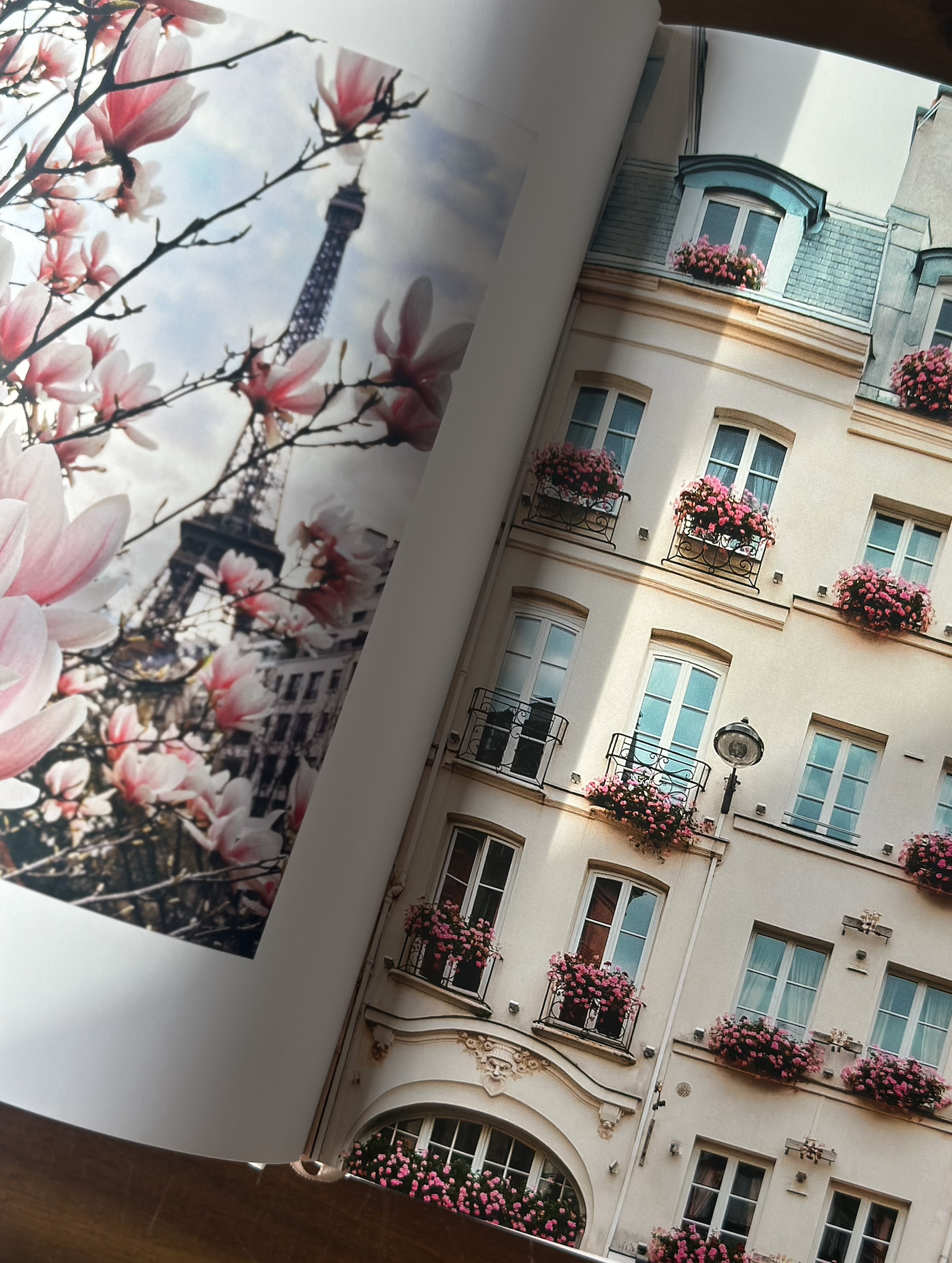 Screenshot 2026-01-15 at 10.14.12 AM.png