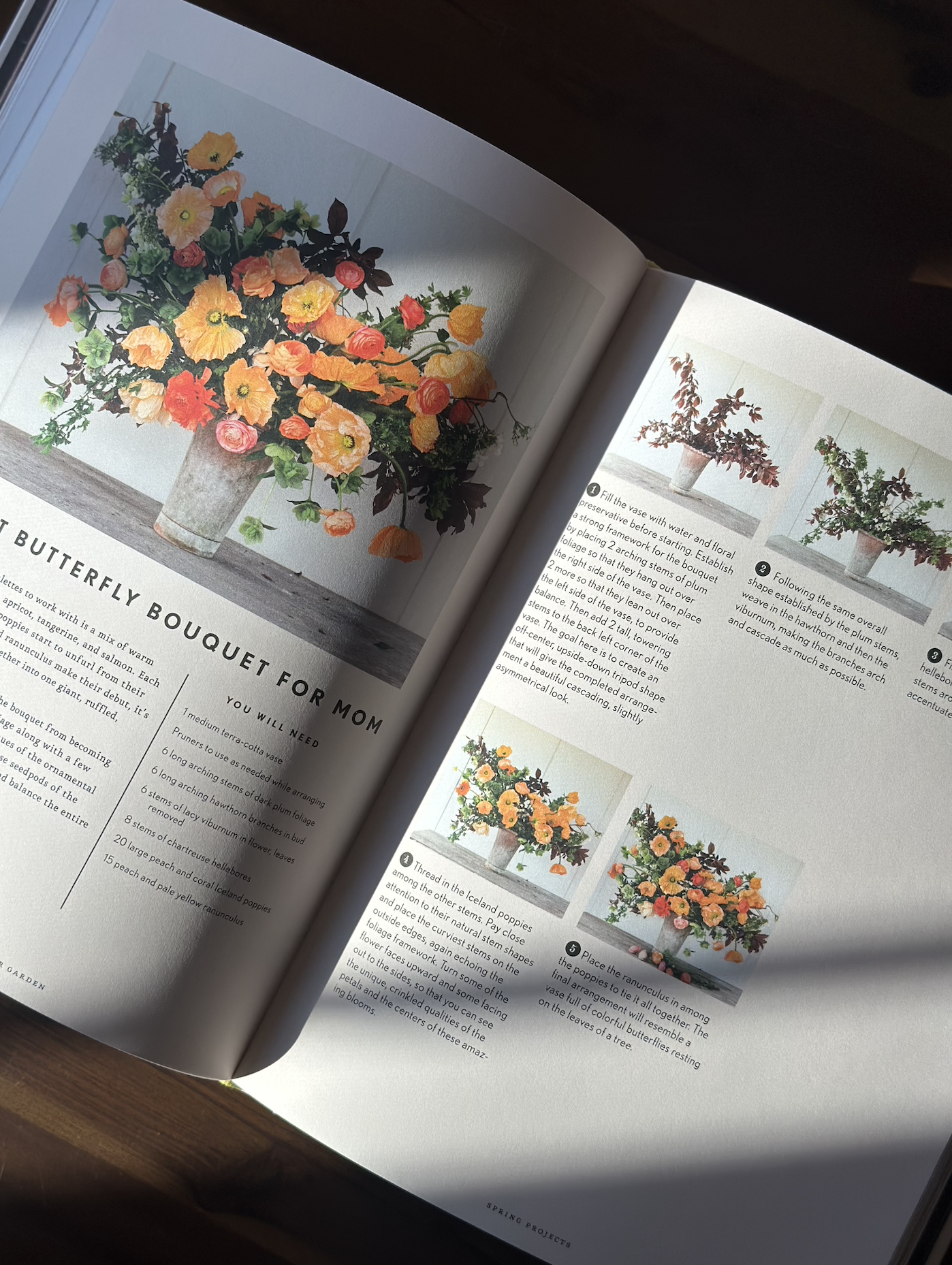 Screenshot 2026-01-27 at 10.25.13 AM.png