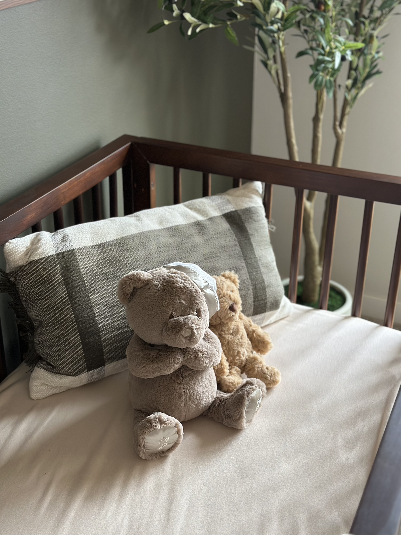 Screenshot 2026-01-14 at 1.45.49 PM.png