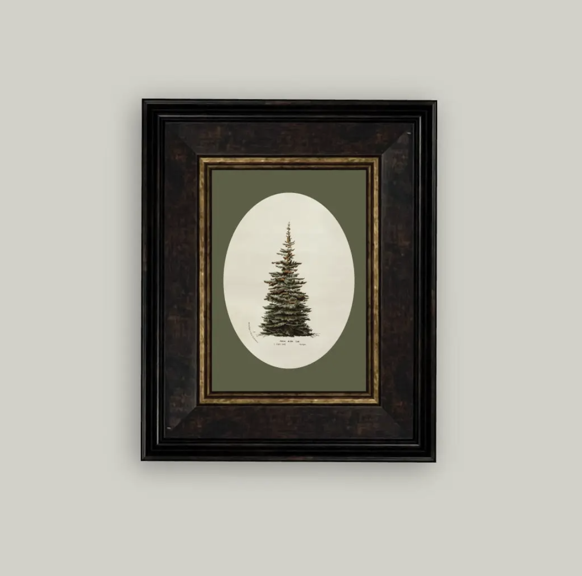 Oval Matte Tree Framed Antique Art