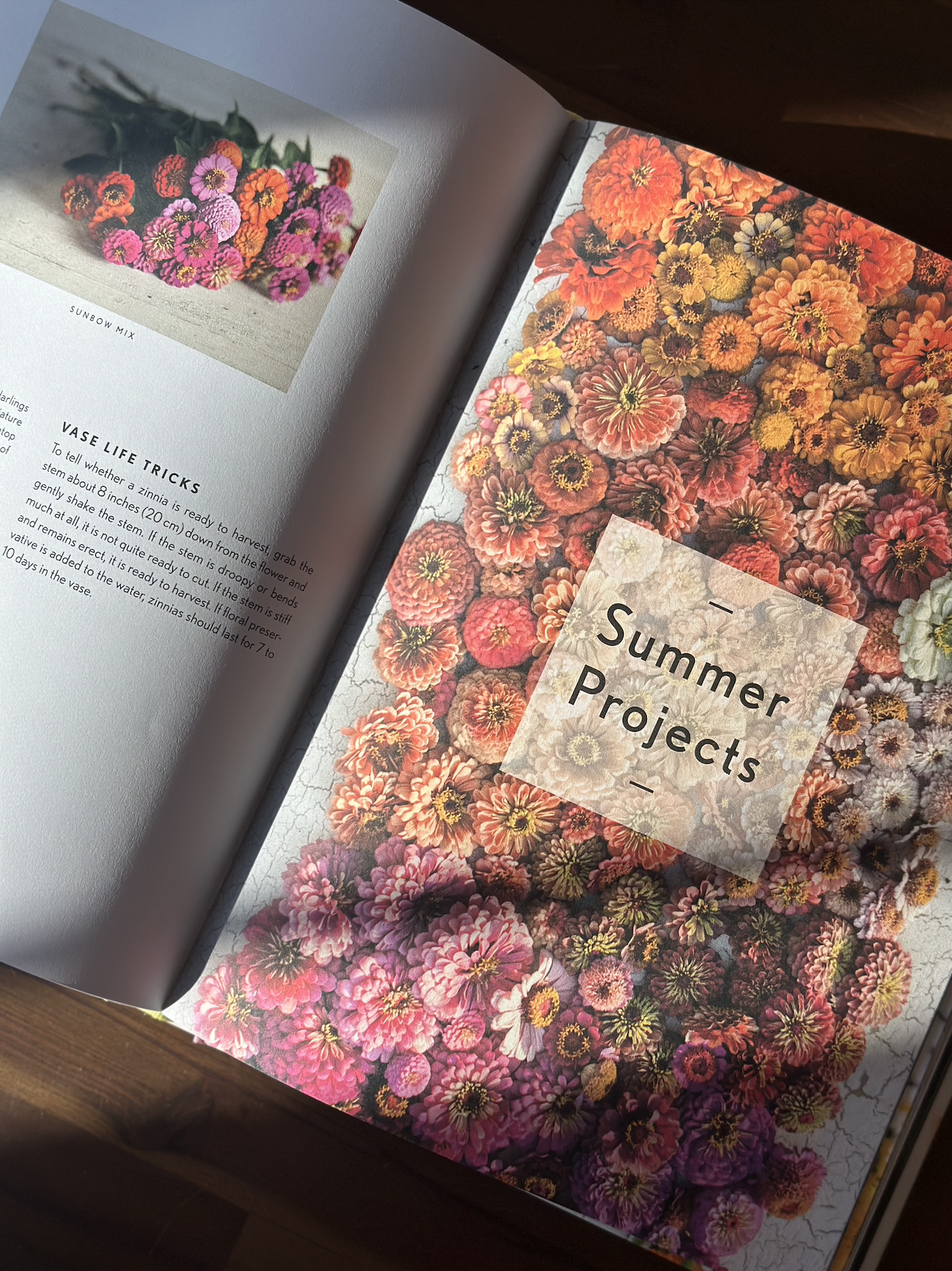 Screenshot 2026-01-27 at 10.25.31 AM.png