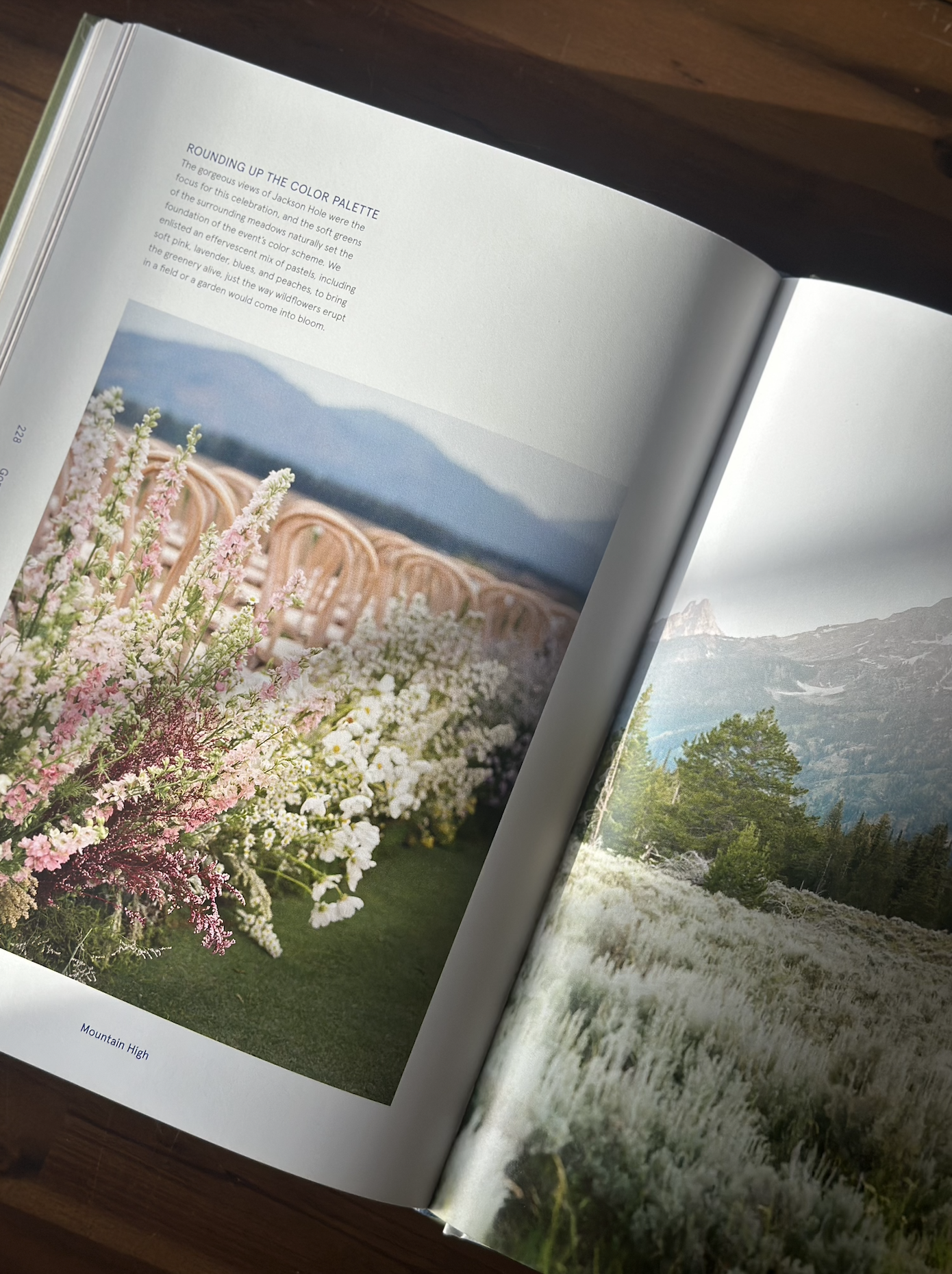 Screenshot 2026-01-15 at 10.13.45 AM.png