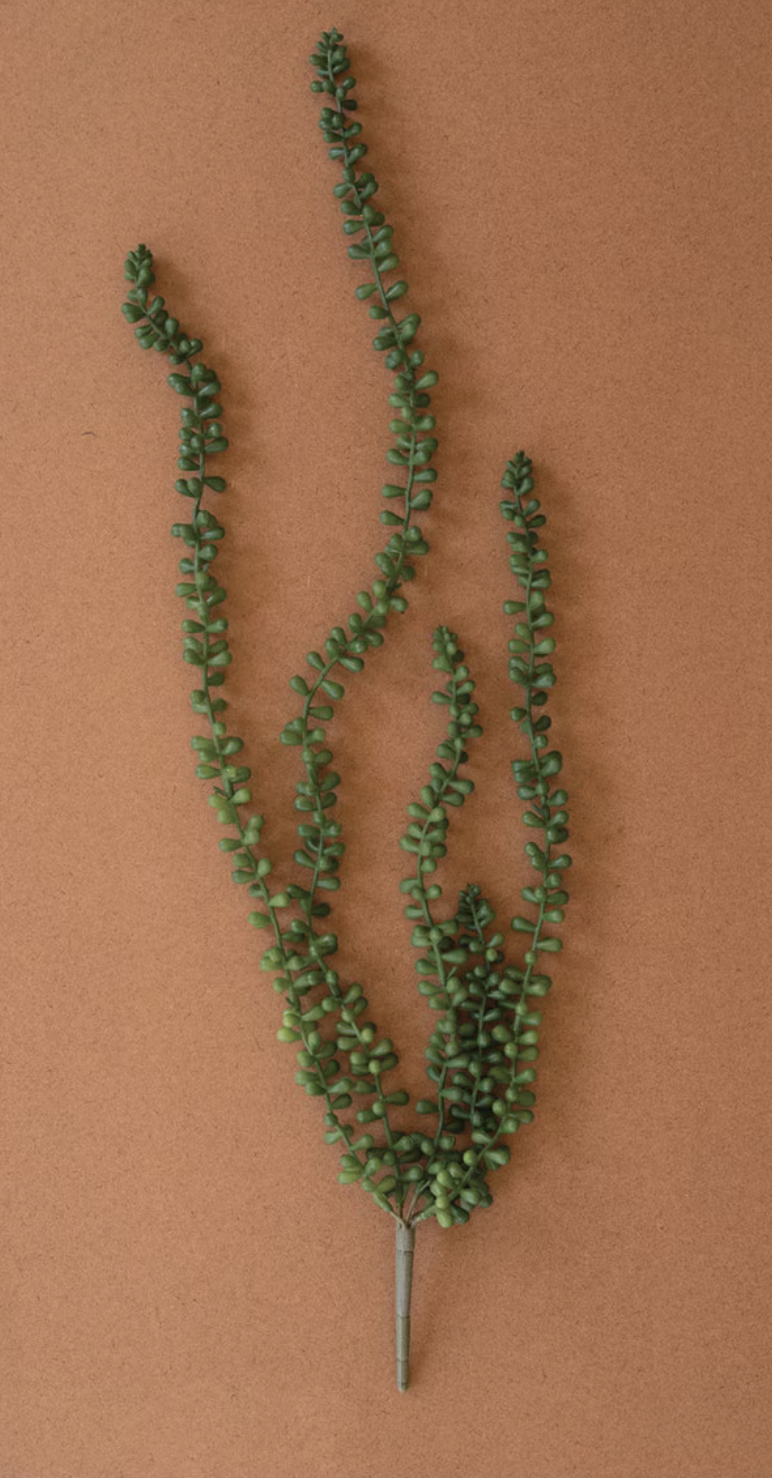 Artificial Necklace Fern Succulent