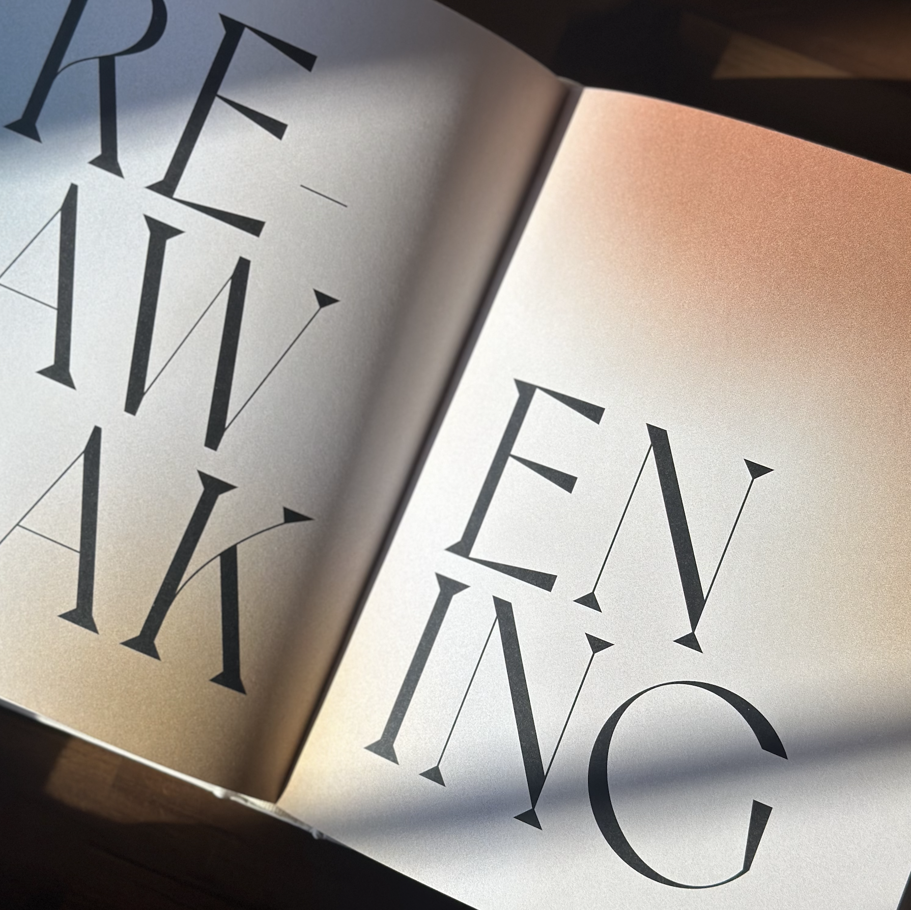 Screenshot 2026-01-27 at 10.24.21 AM.png