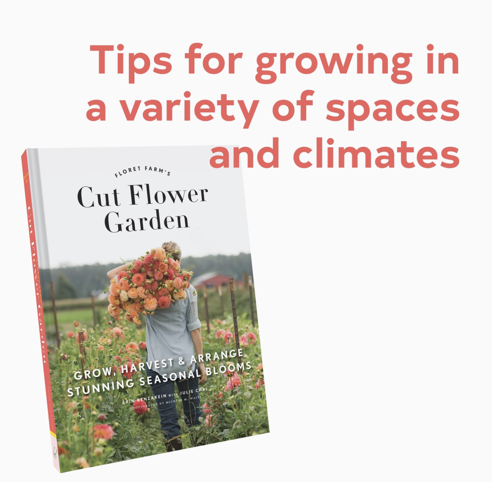 Screenshot 2026-01-05 at 11.26.00 AM.png