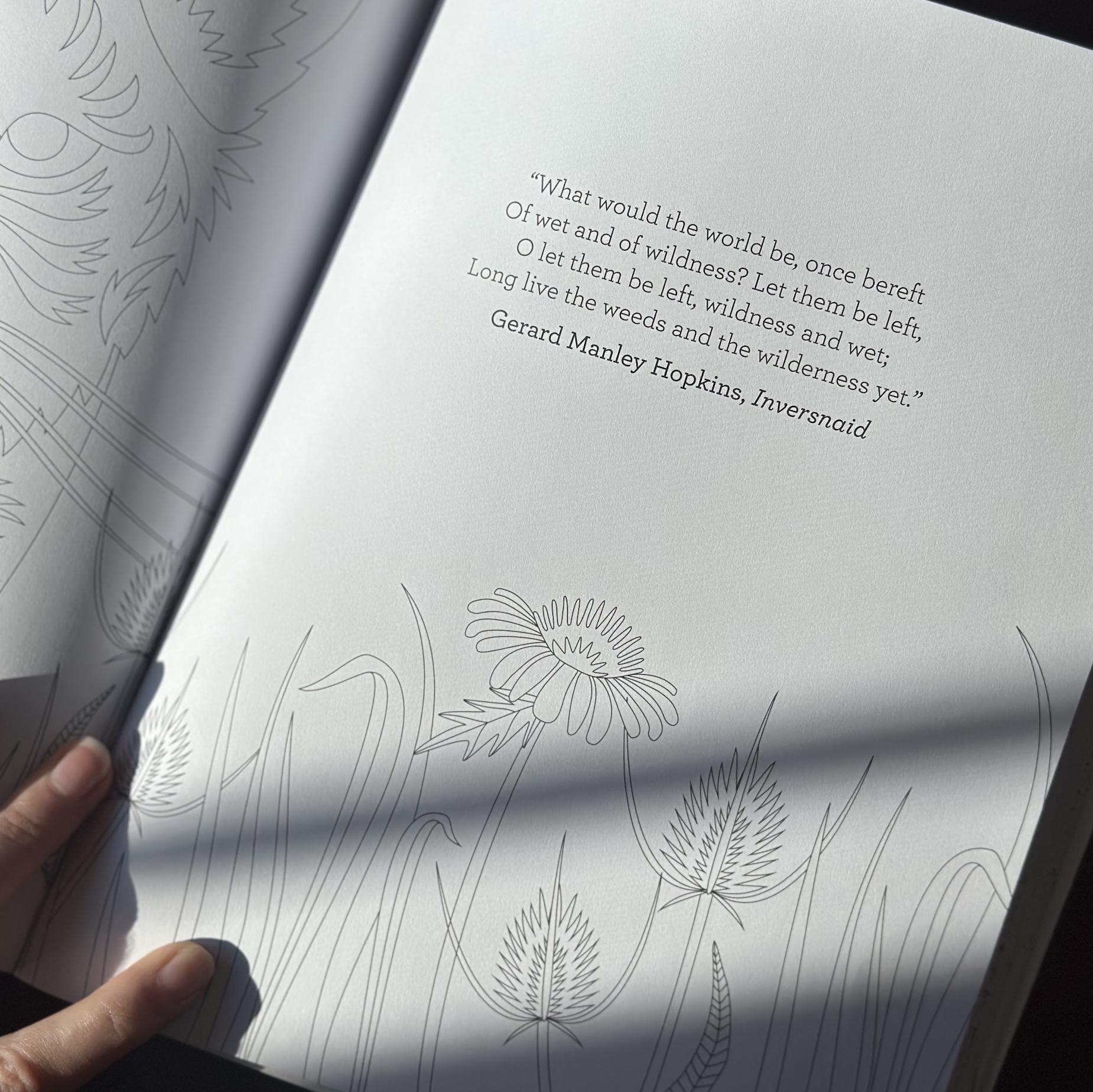 Screenshot 2026-01-27 at 10.24.53 AM.png