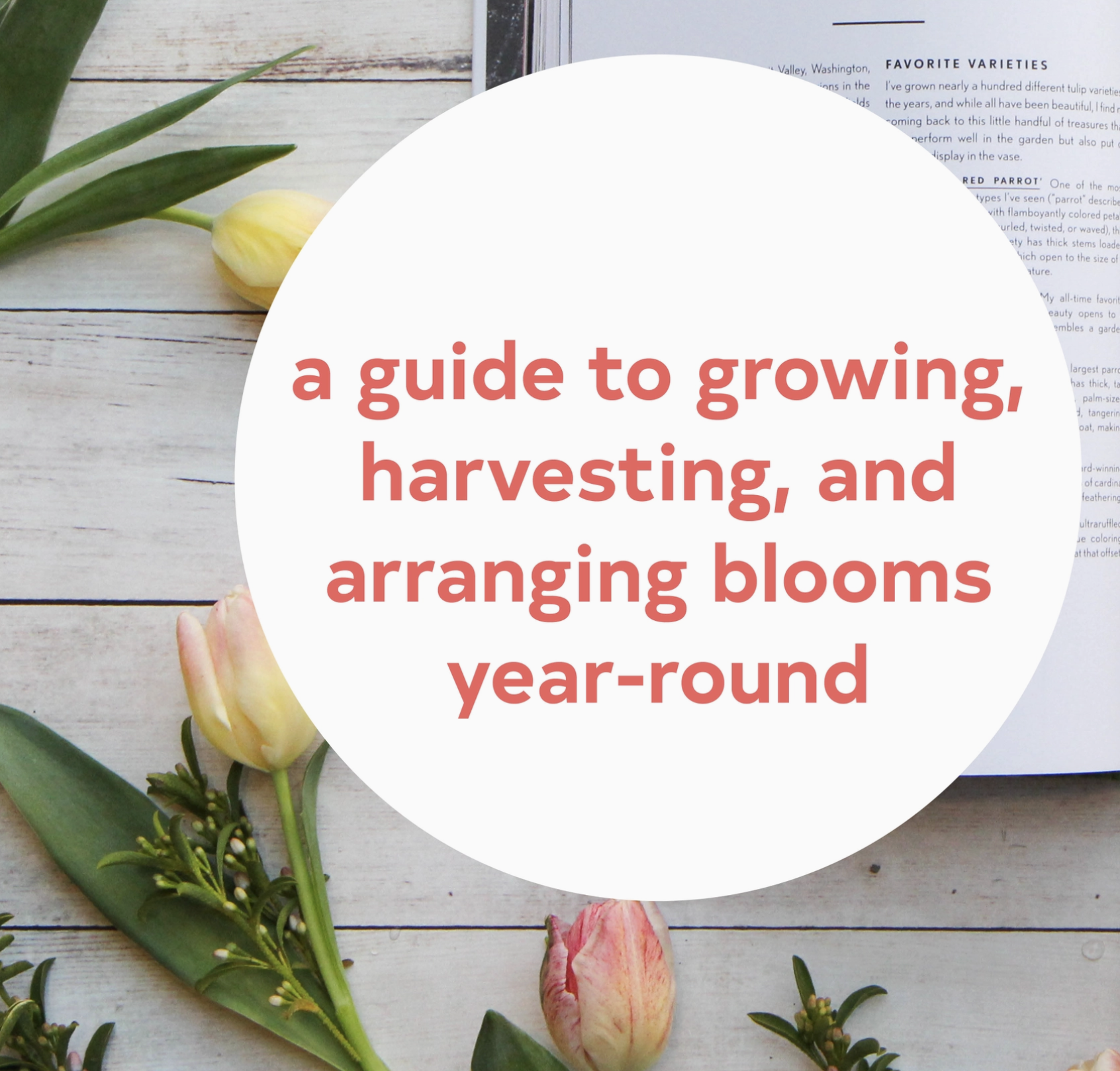 Screenshot 2026-01-05 at 11.26.23 AM.png