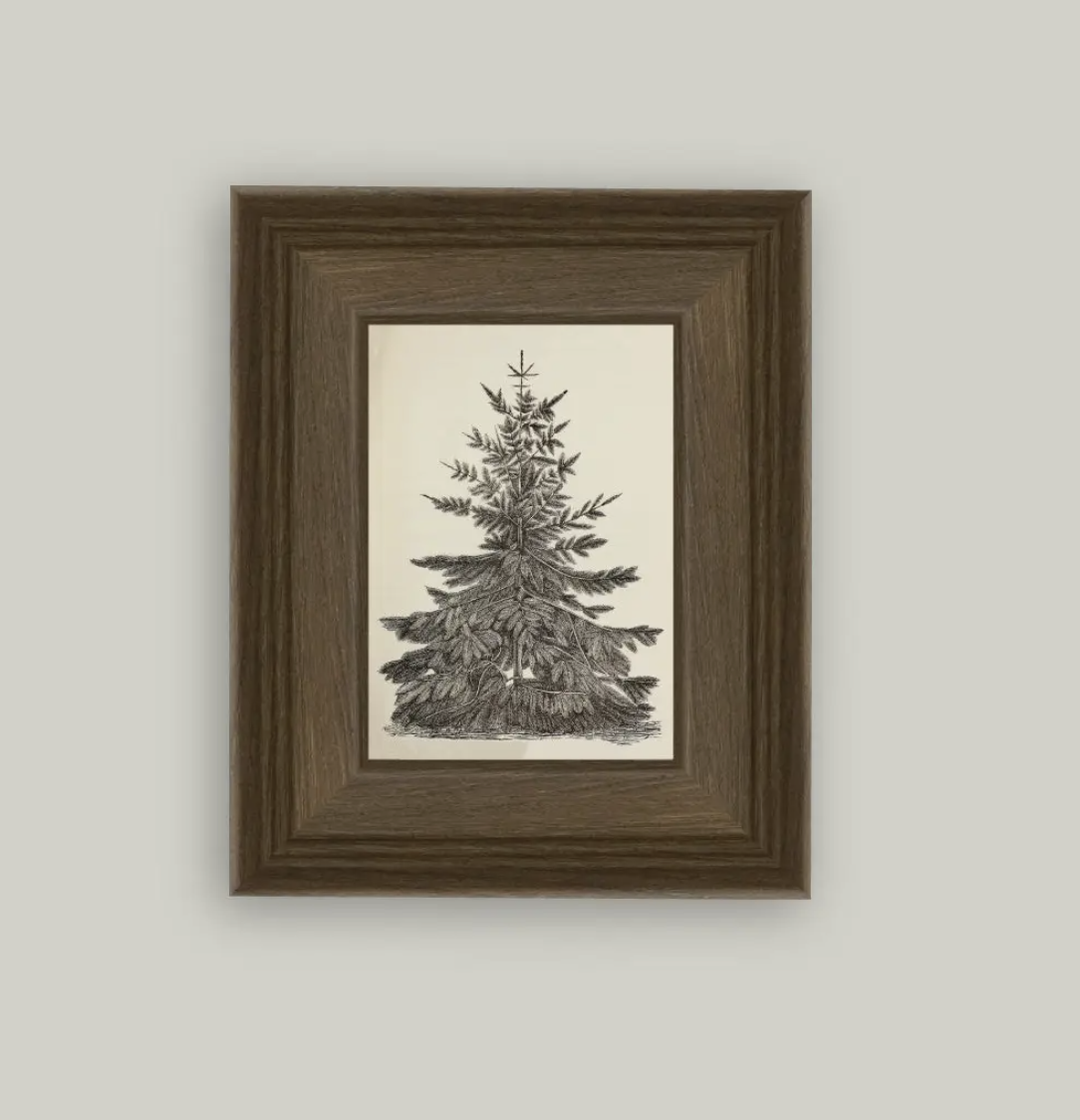 Vintage Pine Tree Framed Antique Art