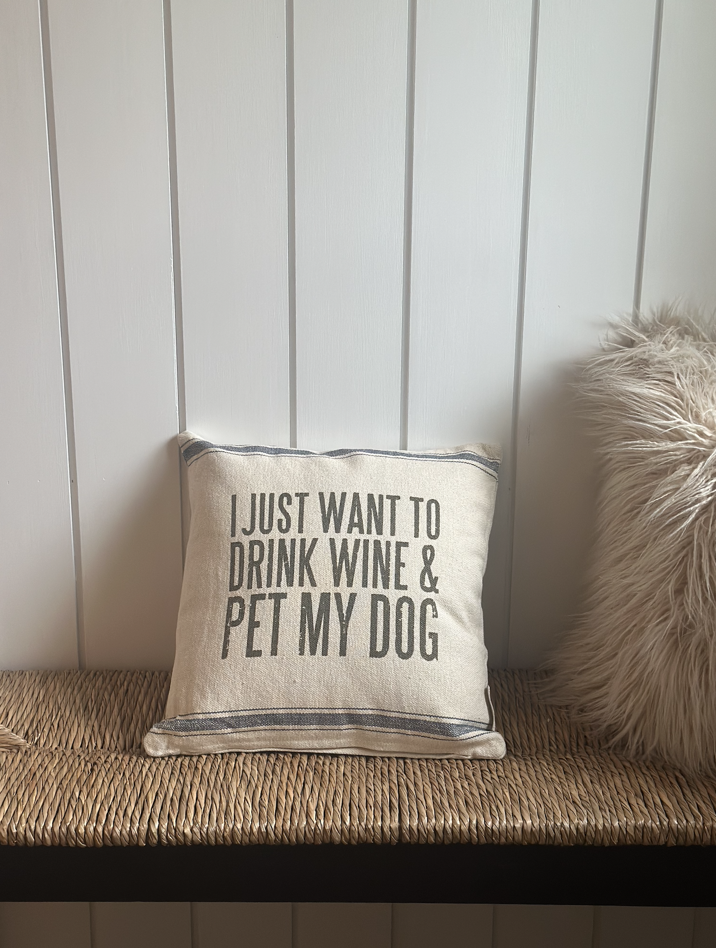 I Just Want To Drink Wine & Pet My Dog Pillow