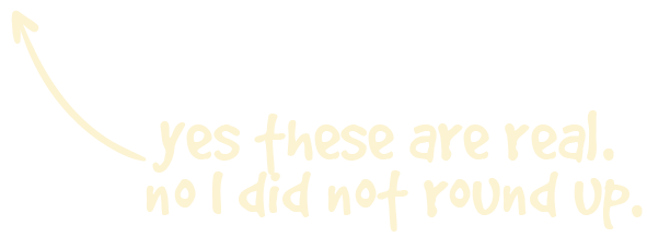 Text-based image with cream-colored handwriting on a black background saying, 'yes these are real. no I did not round up.'