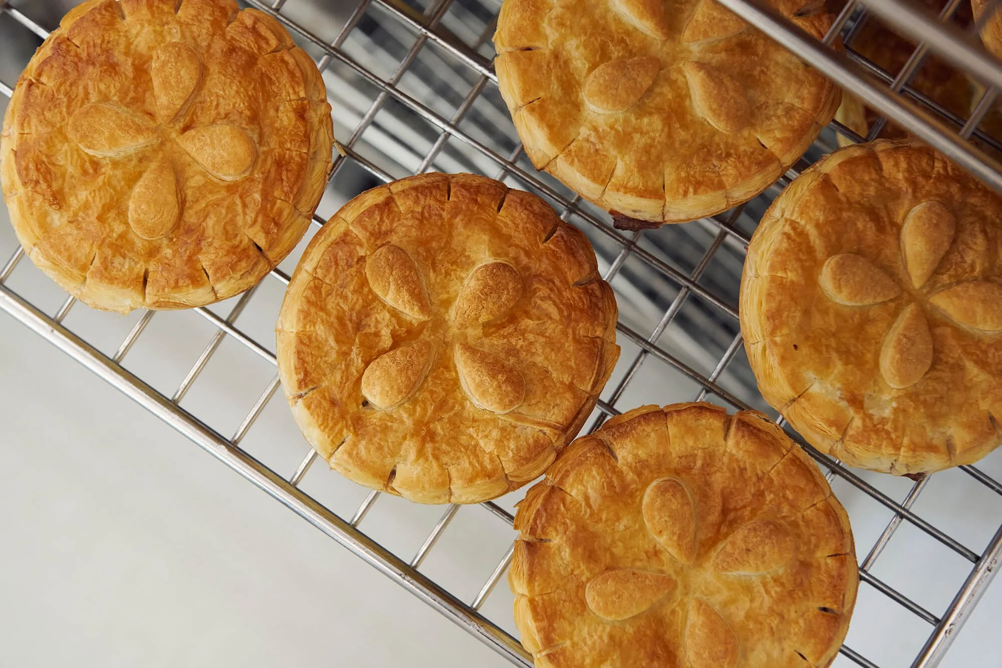 POC_pies in oven from above_DSC5850.jpg