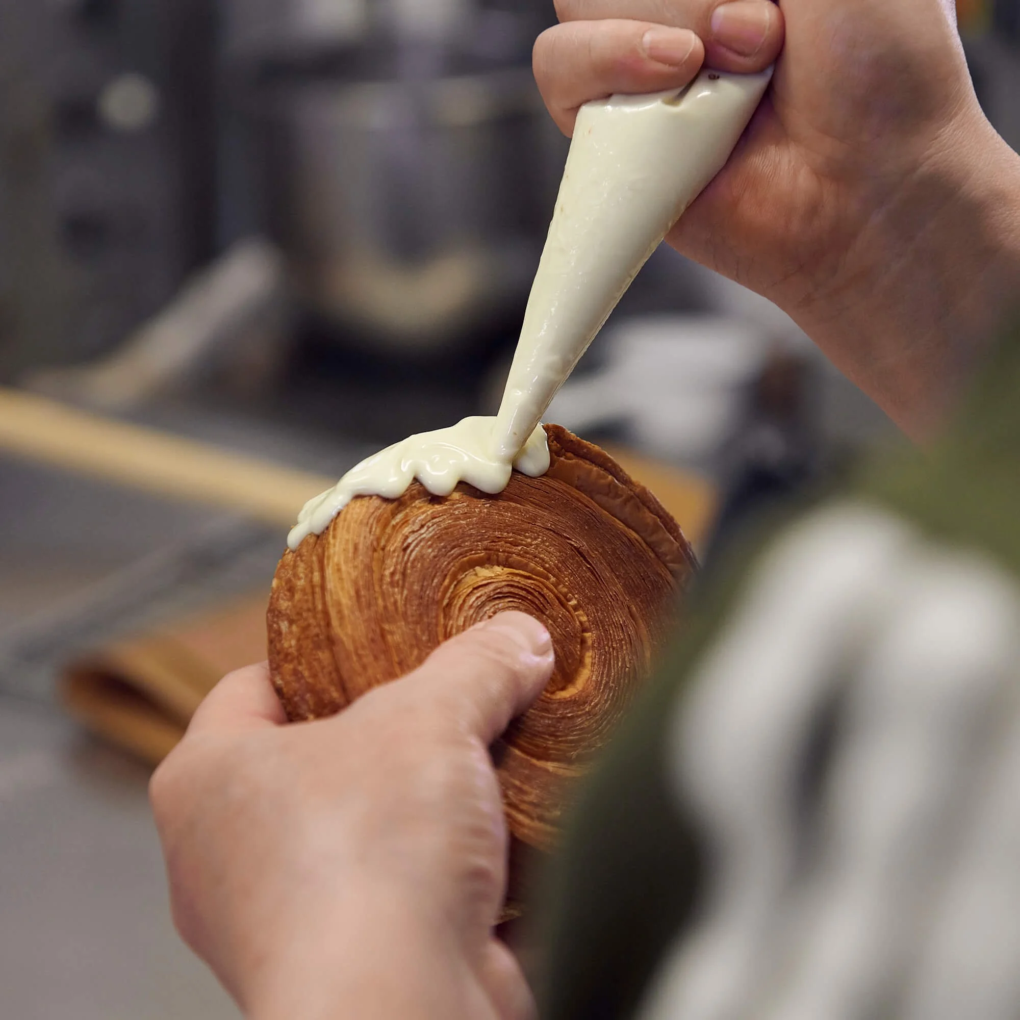 POC_homepage gallery_DSC6621.jpg