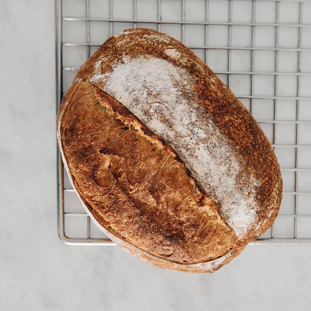 Organic Sourdough white Bread