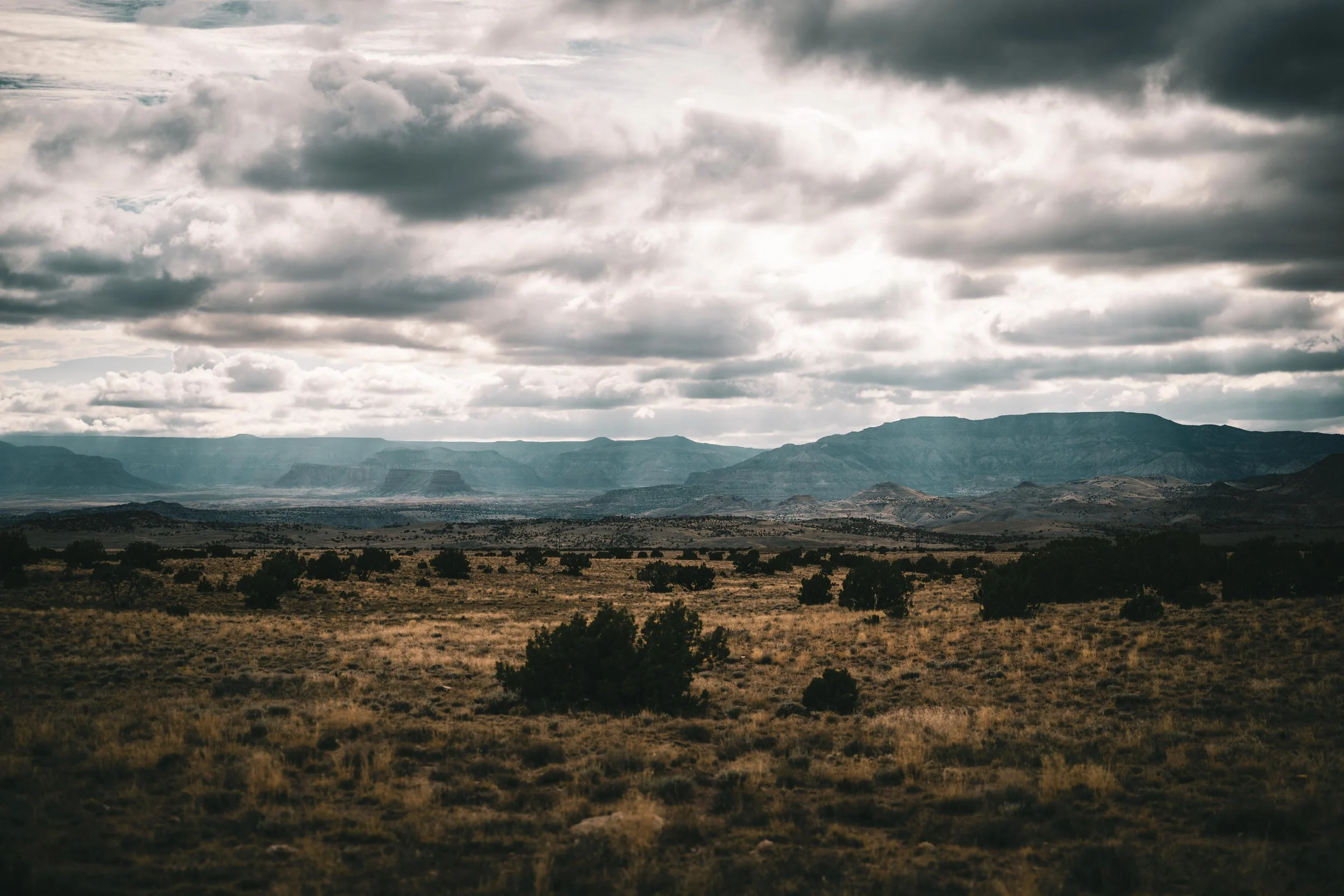 20251013-_DSC0241 Instagram-2.jpg