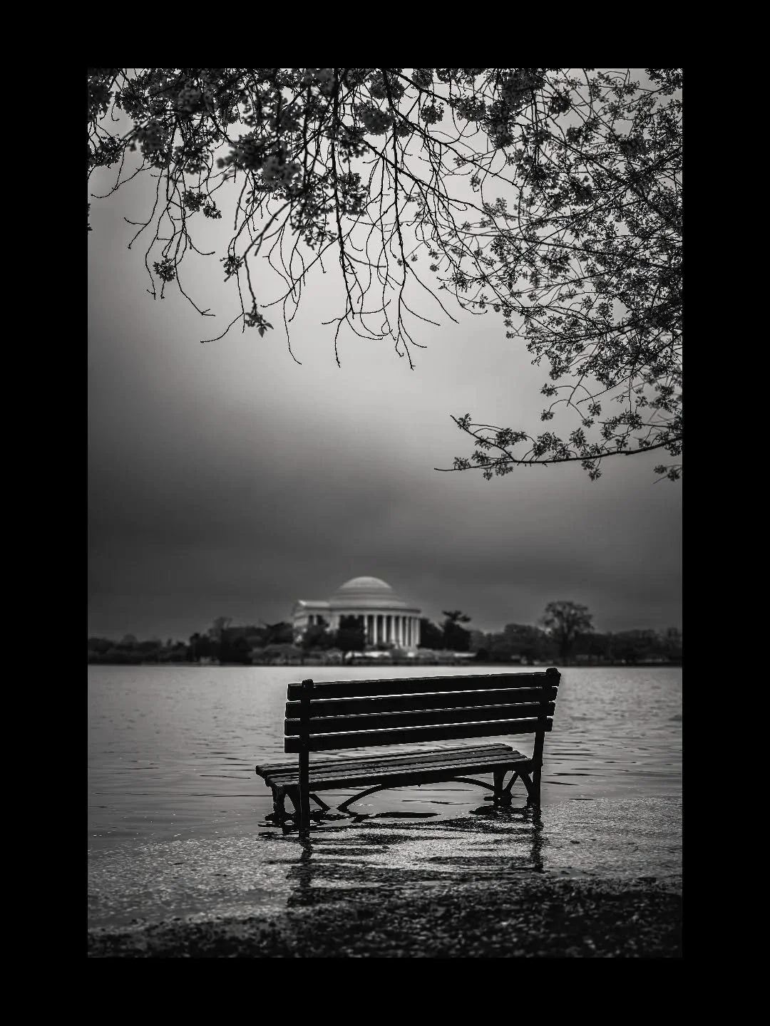 The monument still stands, unchanged and unwavering, holding the promise of an ideal in stone: a government by the people, for the people.

Liberty. Representation. The dignity of self-government.

But democracy is not lived in monuments.

It lives i