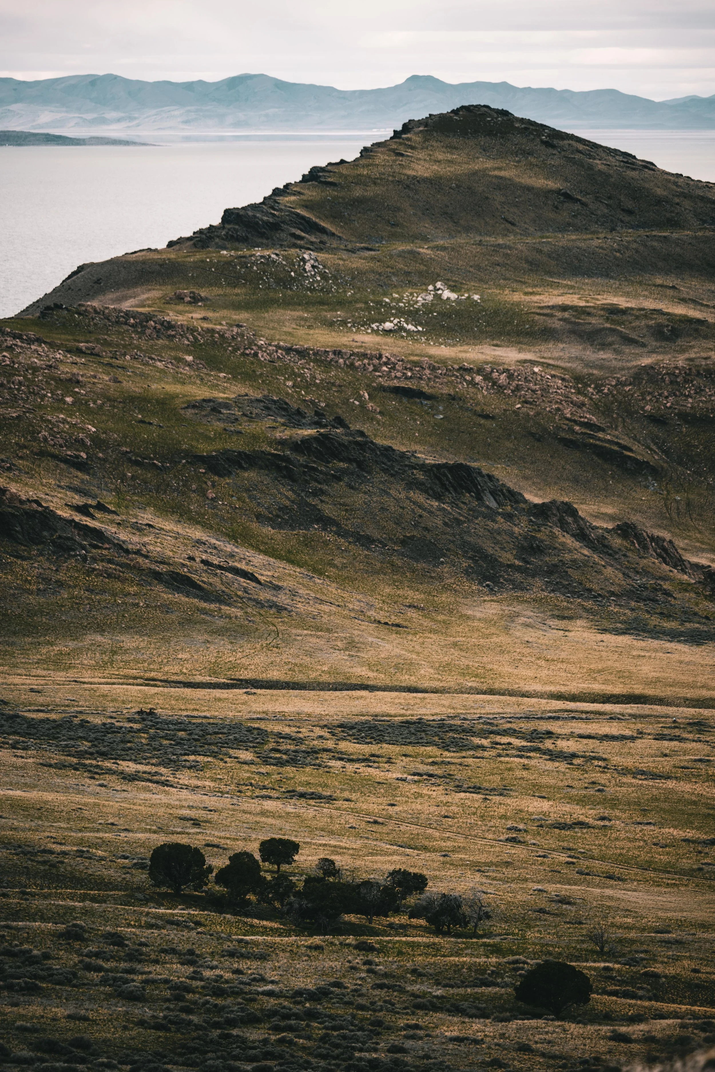 20260314-_DSC4255 Instagram.jpg