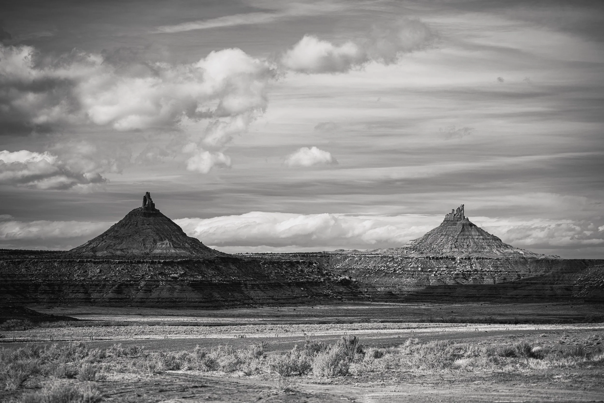 20241124-_DSC7110 Instagram.jpg