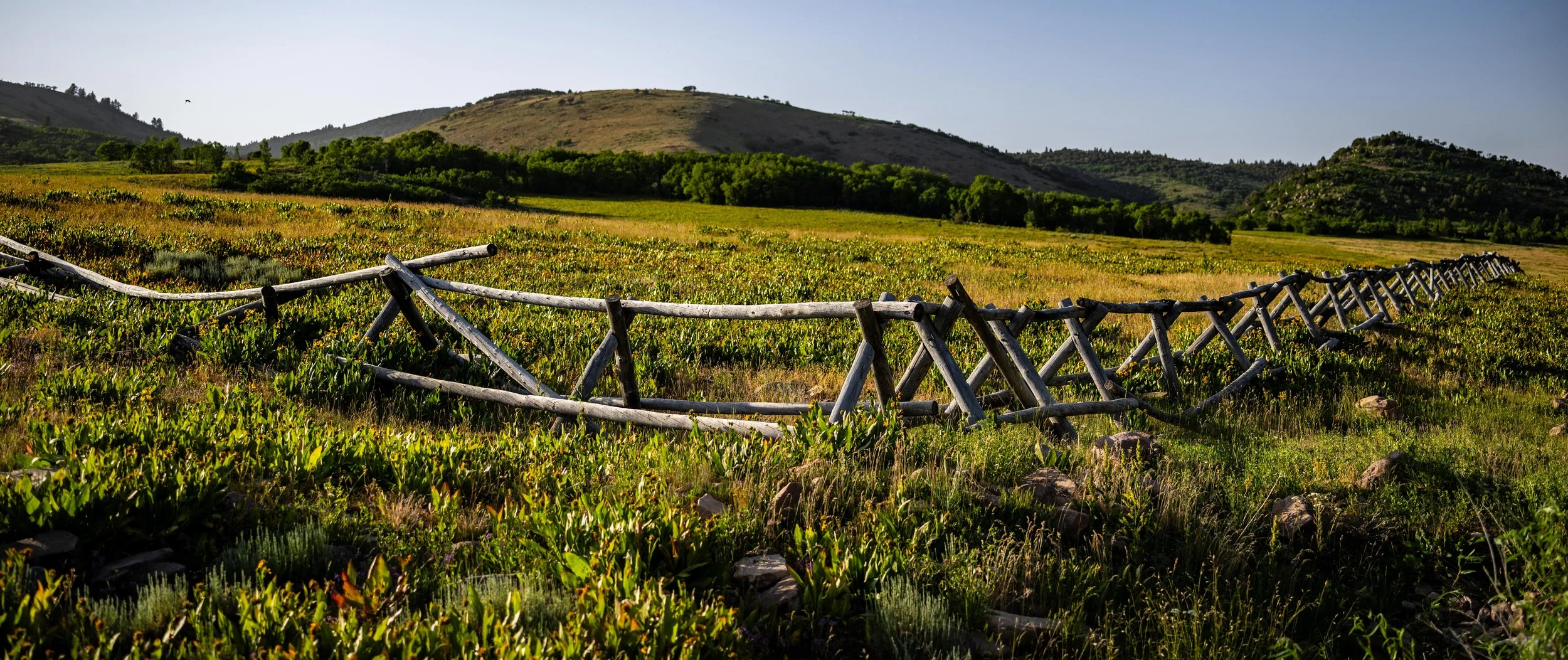 20250621-_DSC9748 Instagram.jpg