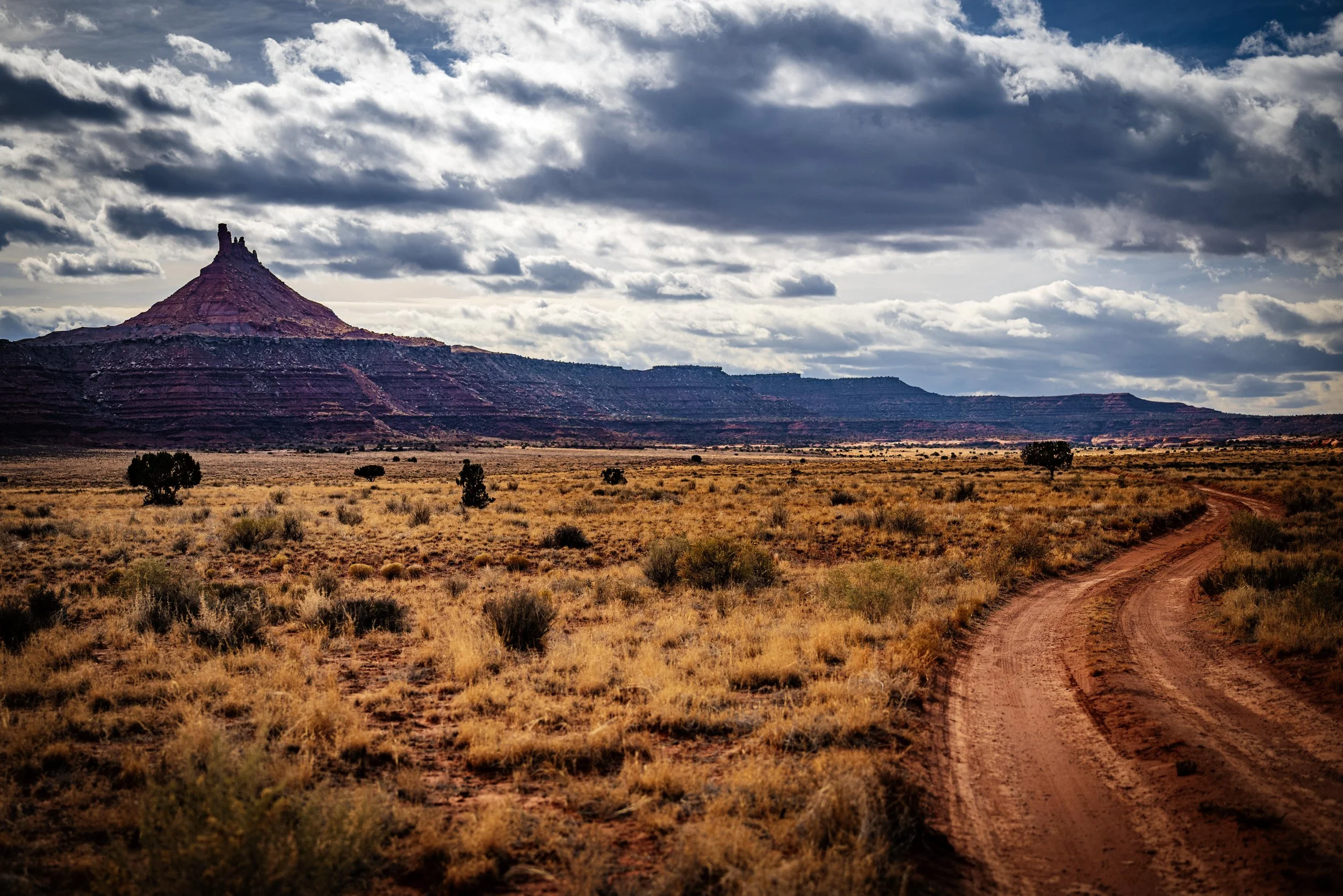 20241124-_DSC7119 Instagram-2.jpg